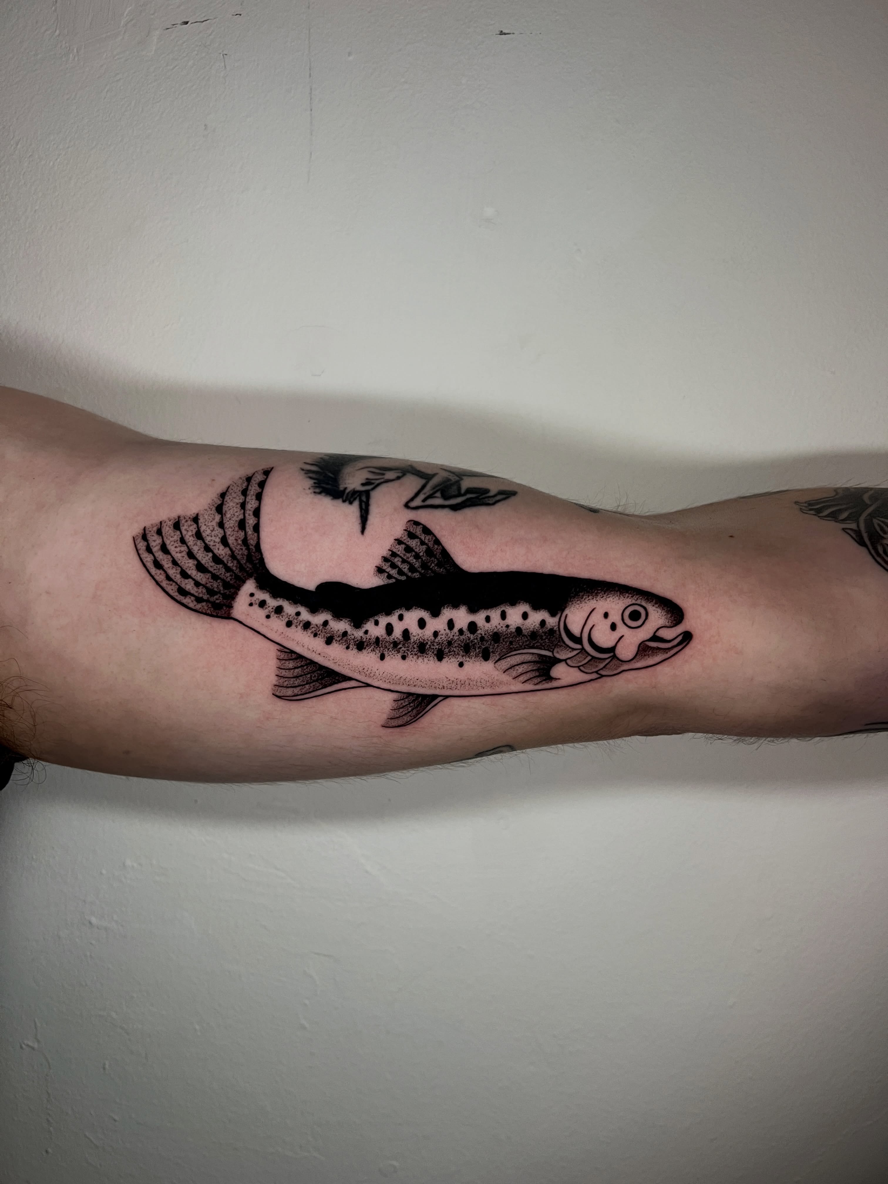 Trout black and grey tattoo on the forearm by AJ π°π· LA tattoo