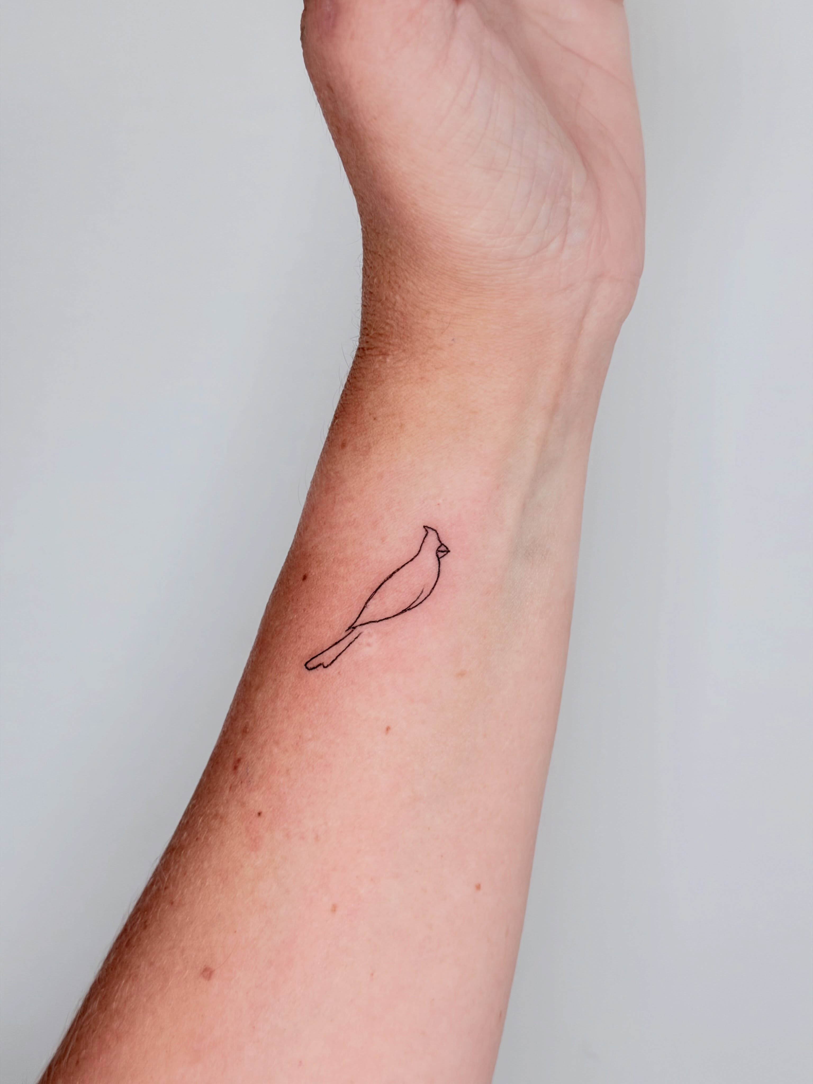 Bird minimalist tattoo on the forearm by Fine Line Tattoo Artist