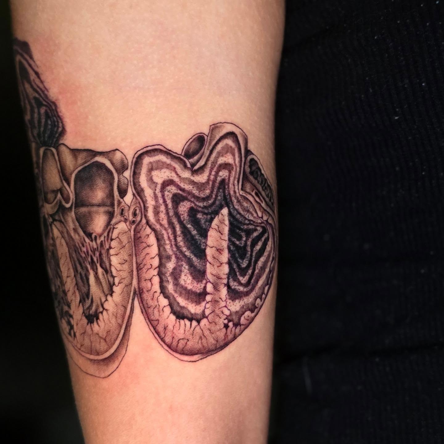 Octopus black and grey tattoo on the forearm by Banana Cake
