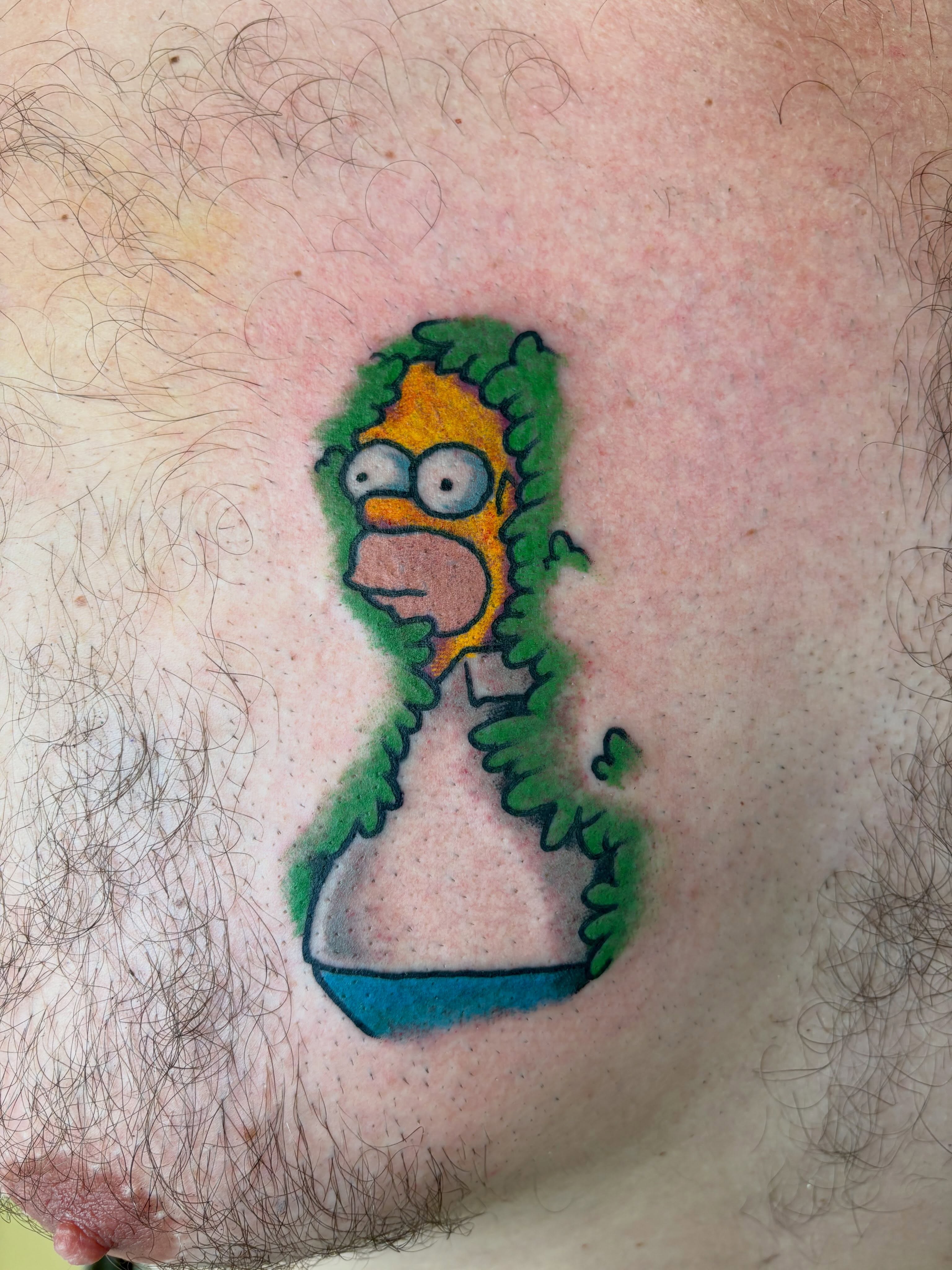Tattoo by @janman_tattoos — new_school