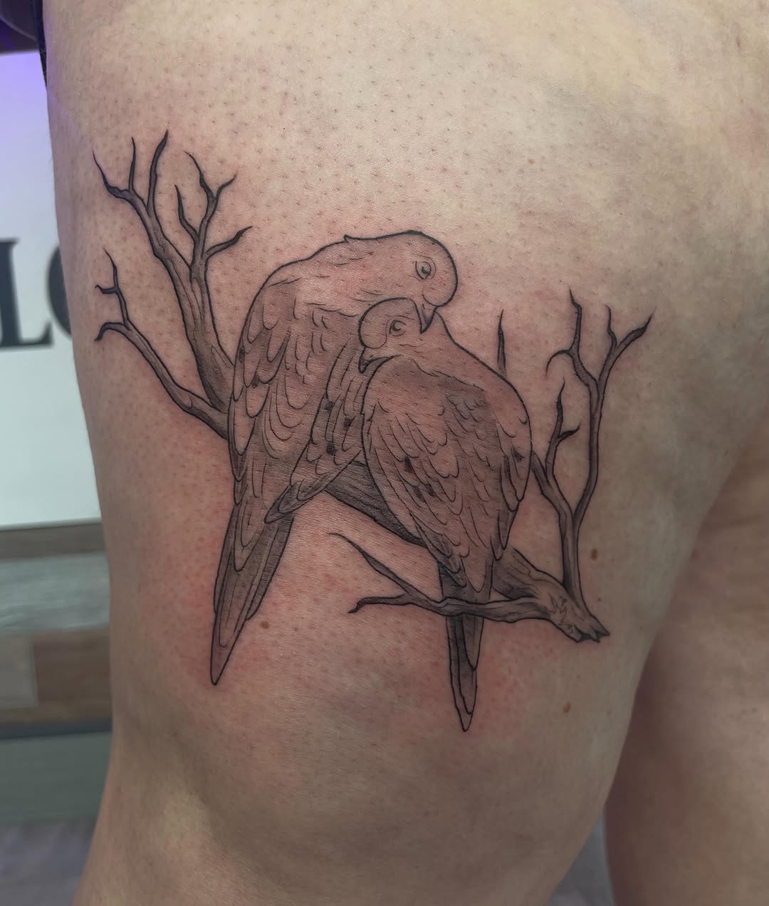 Tattoo by @stewstattoos — fine_line, black_and_grey