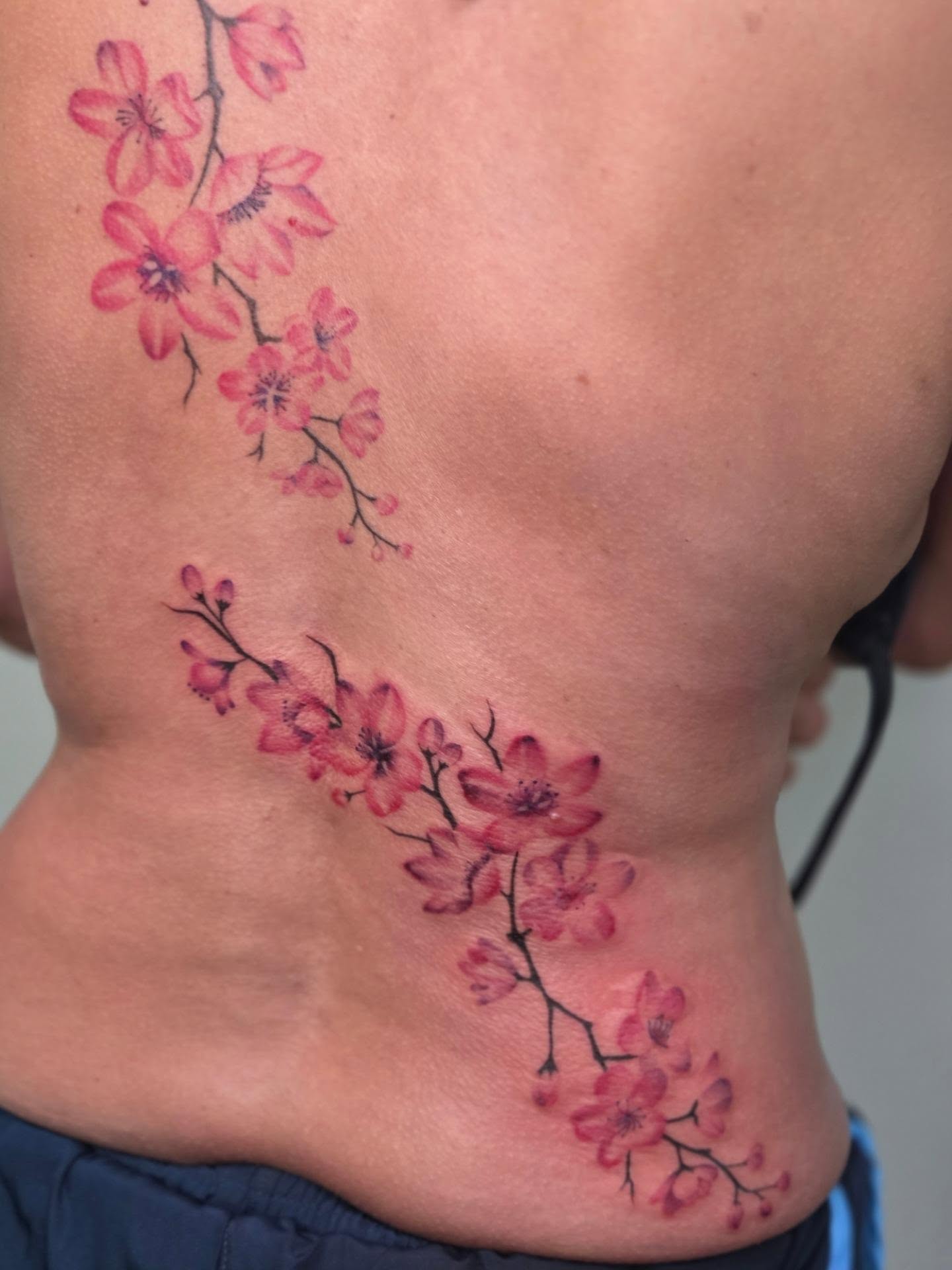 Cherry blossoms watercolor tattoo on the back by Yvette Cebreros