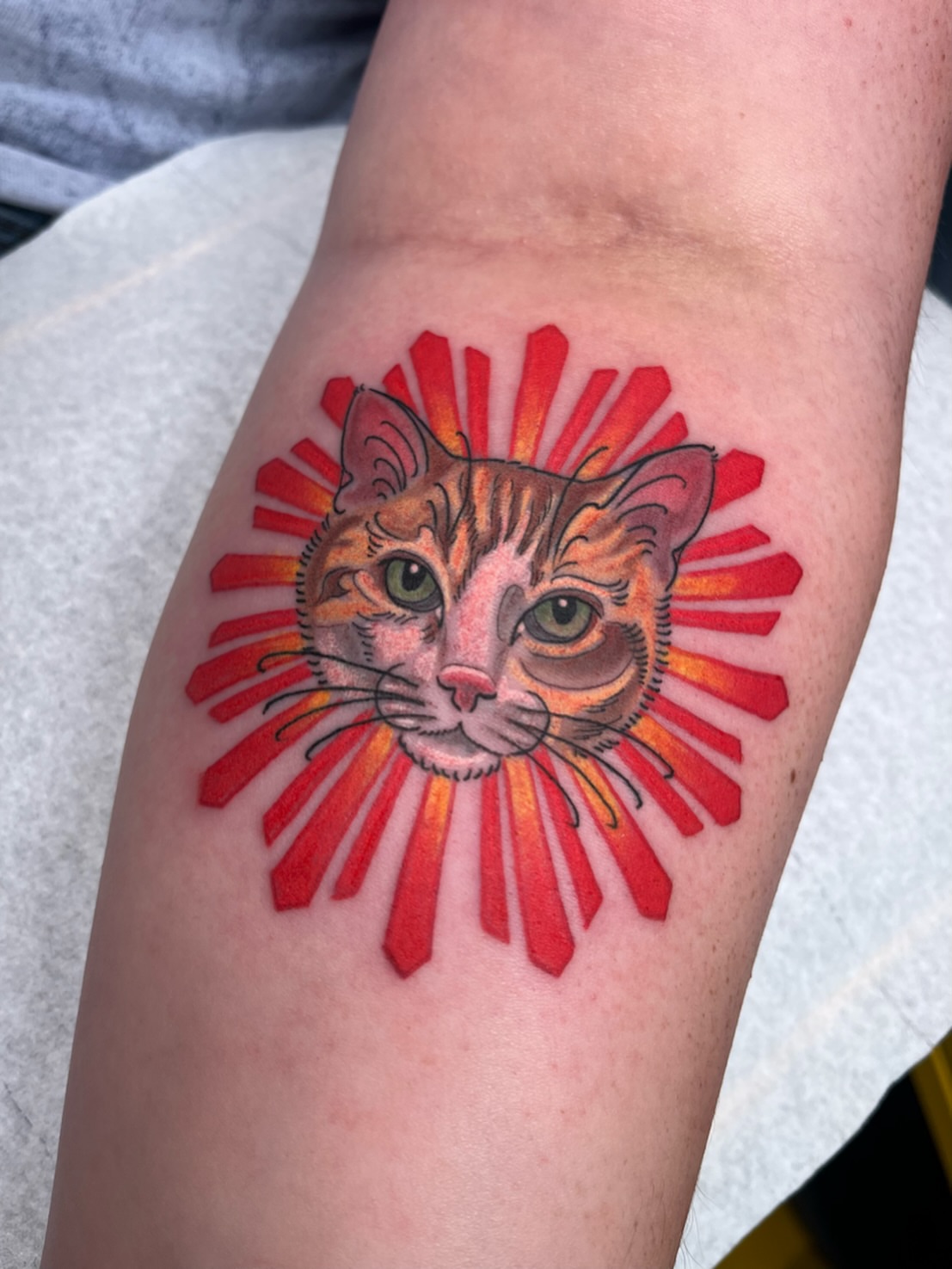 Cat realism tattoo on the forearm by Allyson Blessing Tattoos