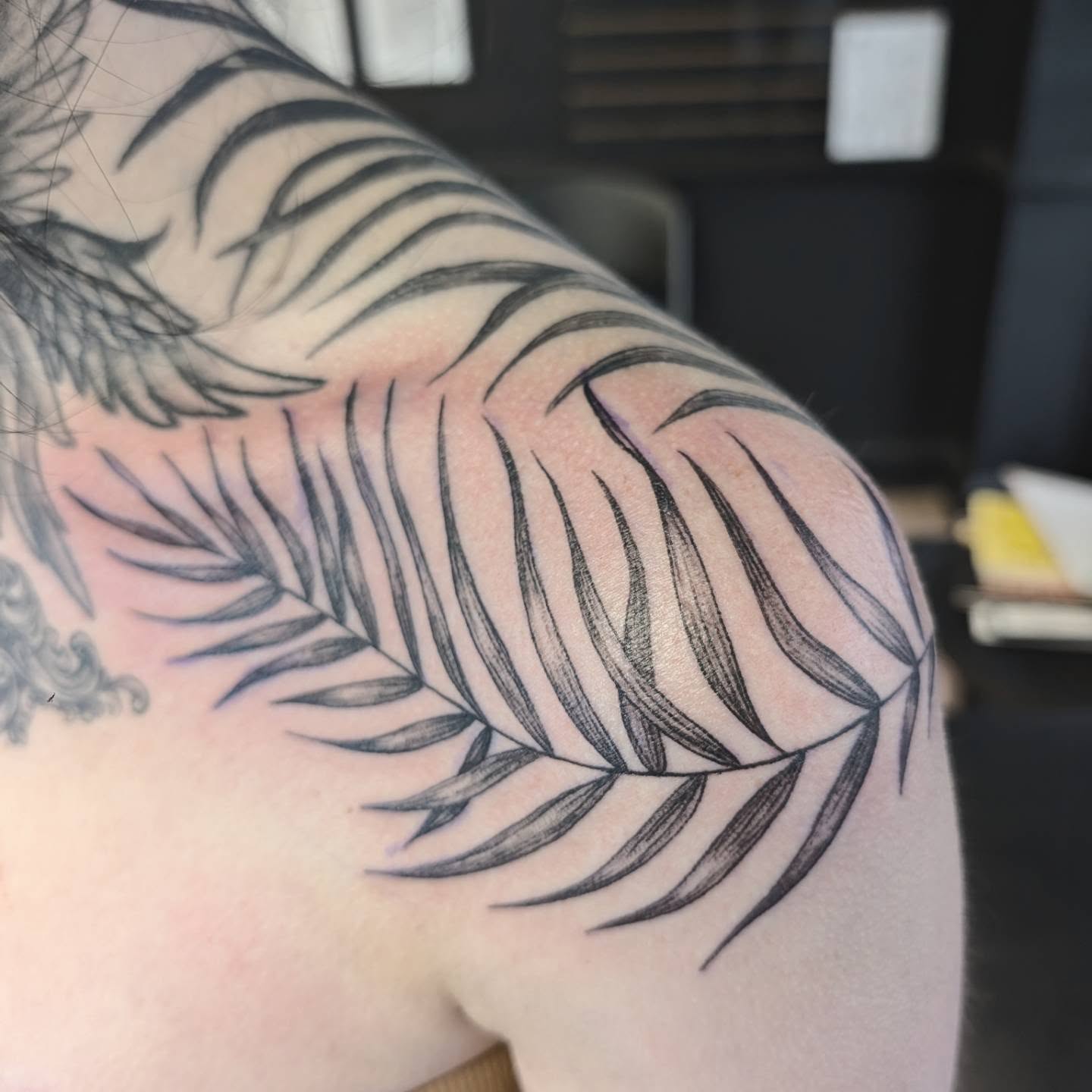 Palm leaf black and grey tattoo on the shoulder by Chad Nuber