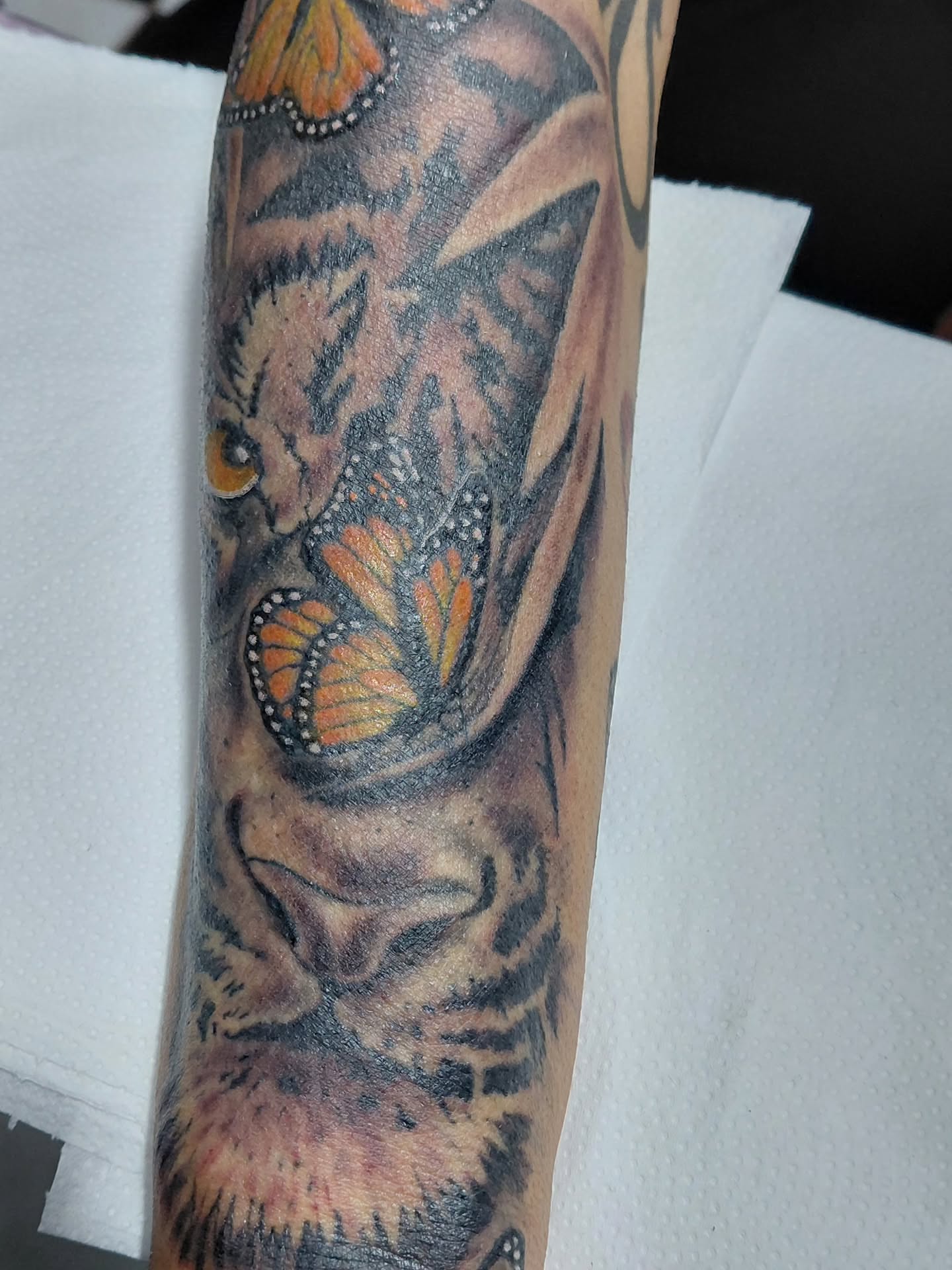 Monarch butterfly realism tattoo on the forearm by Jose Rodriguez