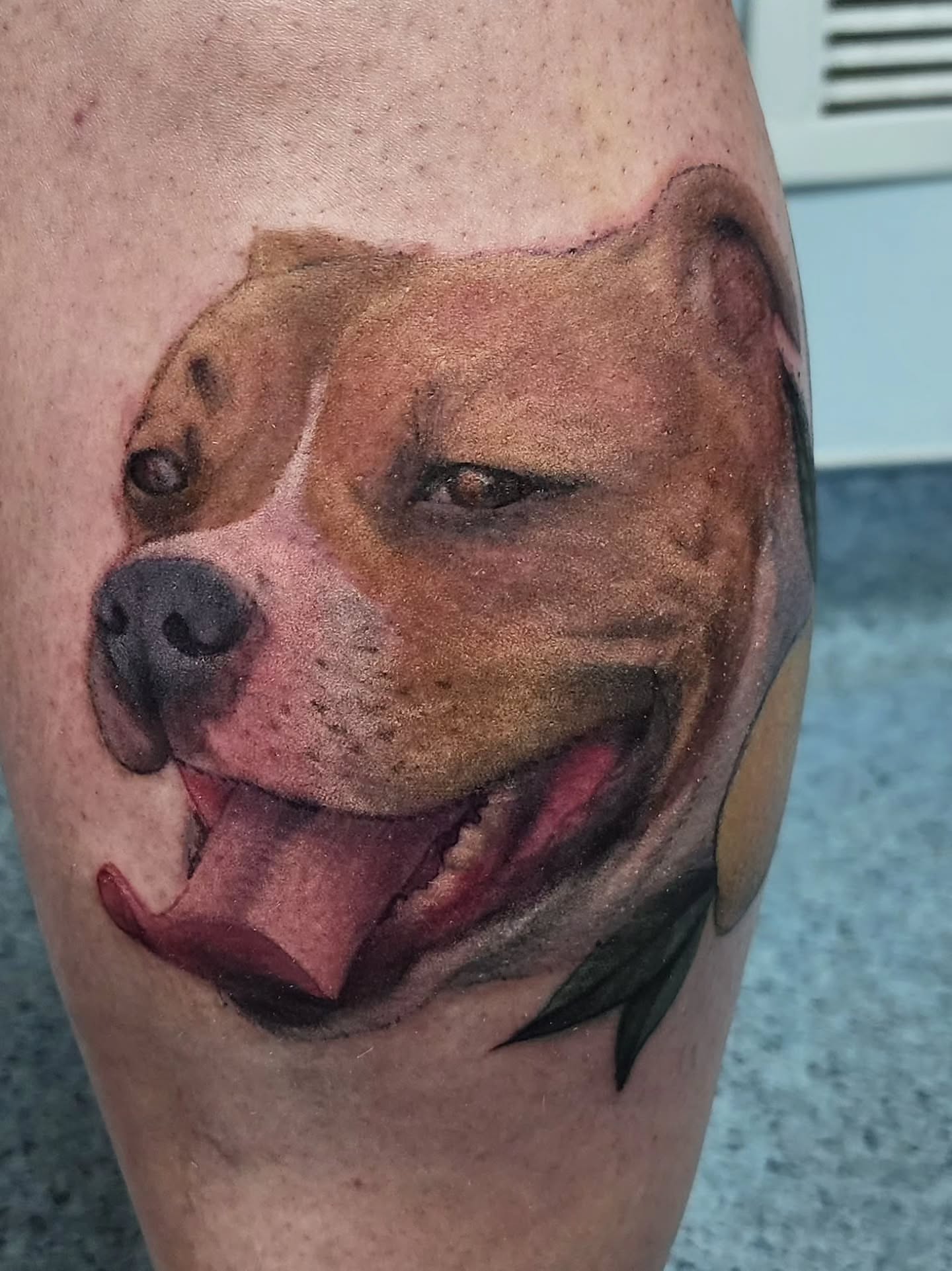 Pit bull realism tattoo on the forearm by Katie Palmer
