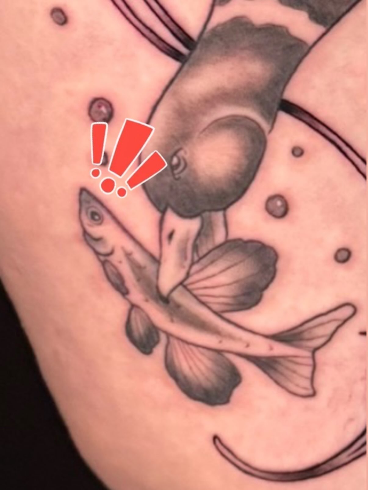 Fish and baby black and grey tattoo on the thigh by Taylor Kay 🌿