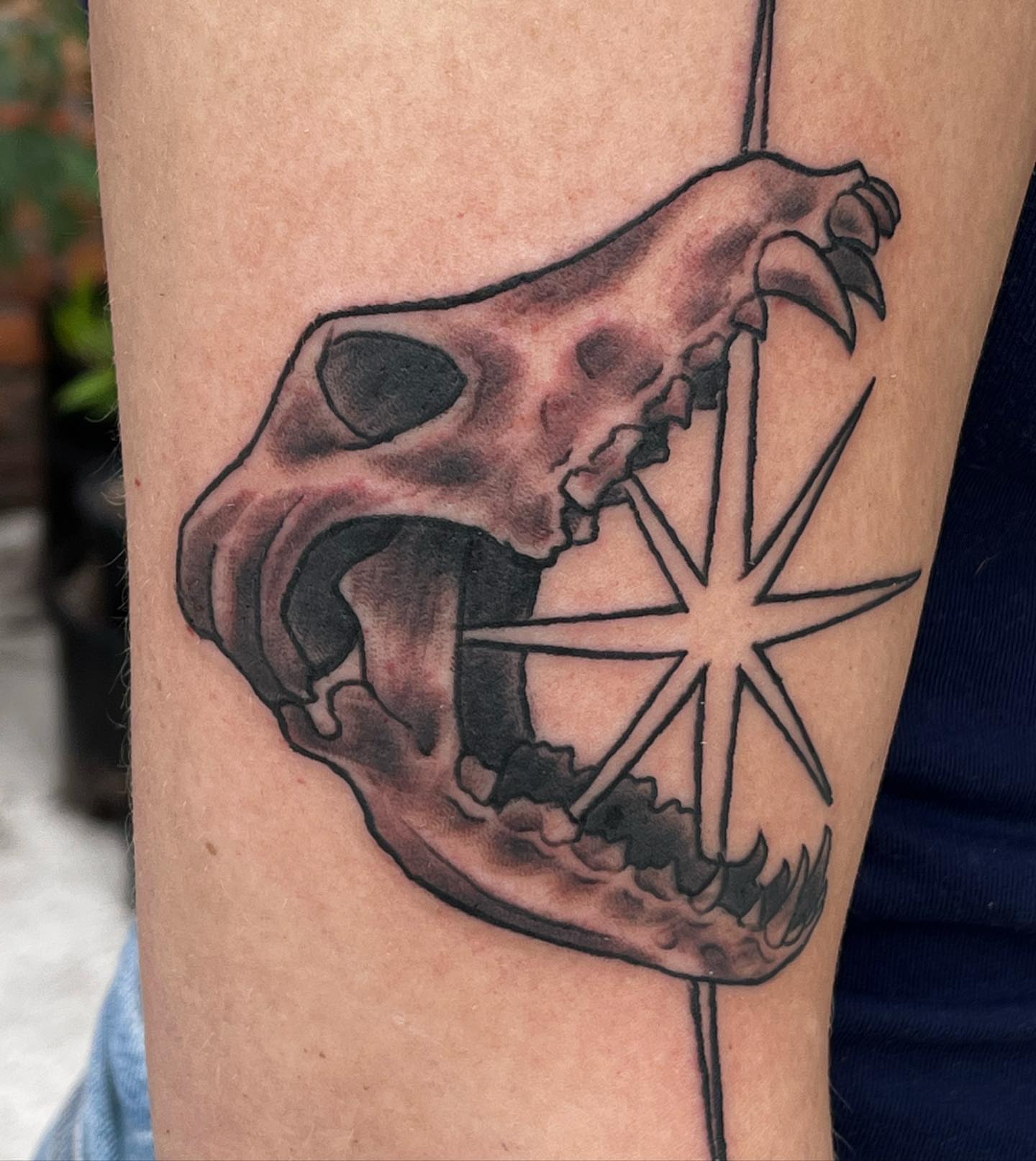 Skull with compass star realism tattoo on the forearm by TYP 419, Toledo, Ohio