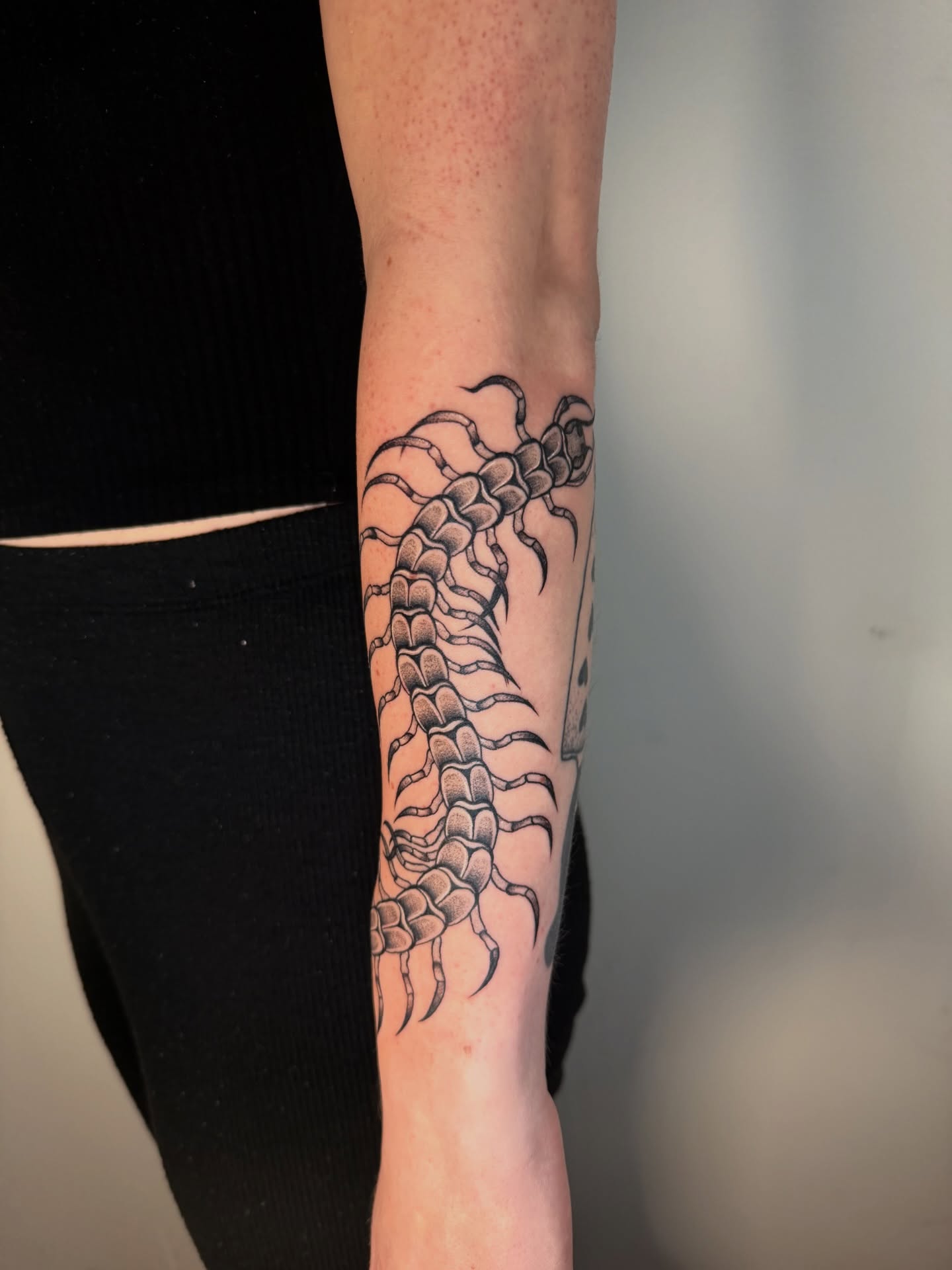 Centipede black and grey tattoo on the forearm by Elisa