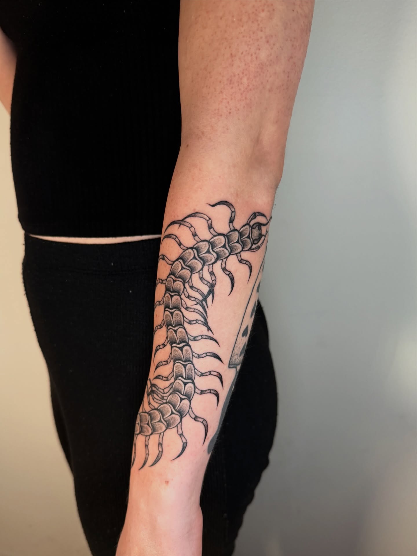 Centipede black and grey tattoo on the forearm by Elisa