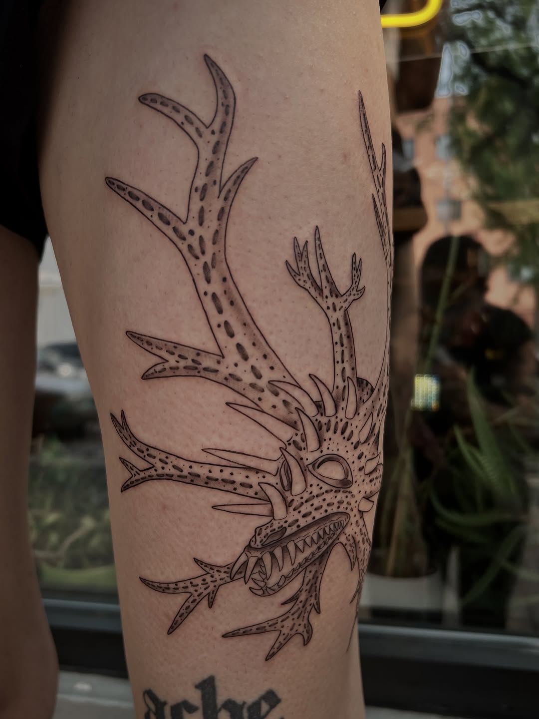 Tattoo by @southpaw.stipple — blackwork, dotwork