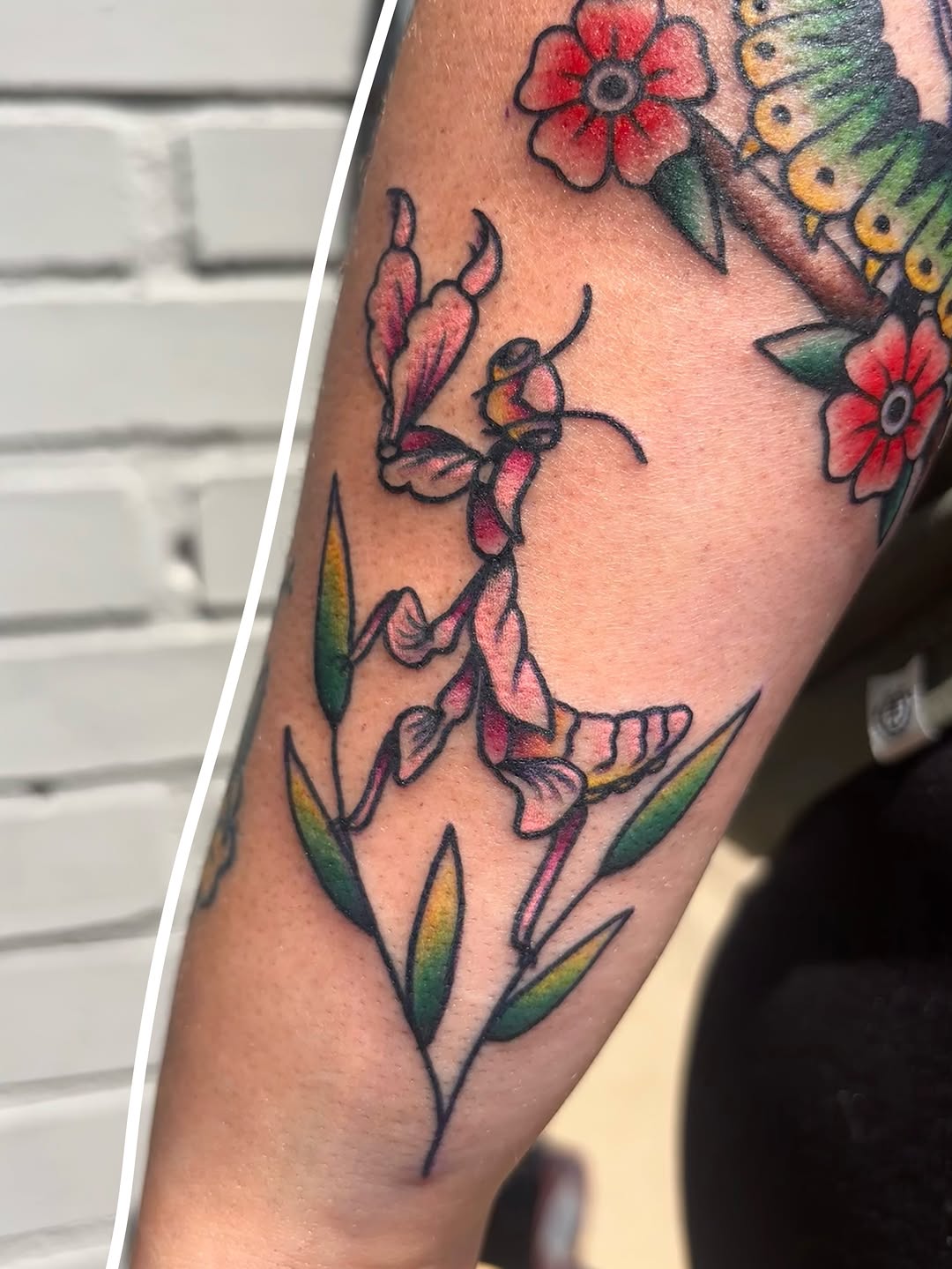 Tattoo by @ink_bugg — american_traditional