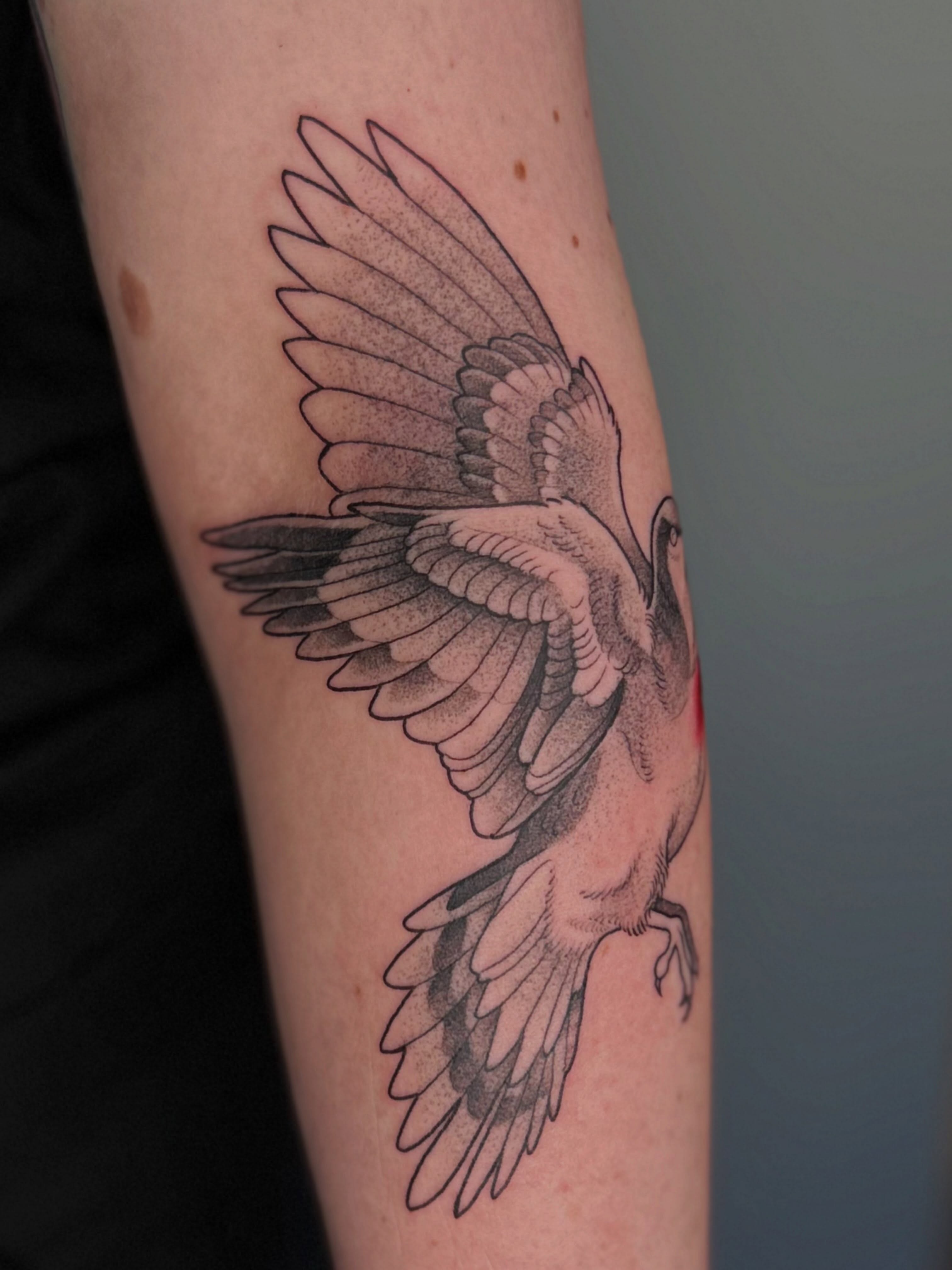 Tattoo by @gr3ywash — dotwork
