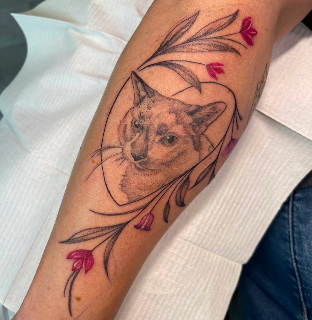 Cat realism tattoo on the forearm by Liz Aulenbacher
