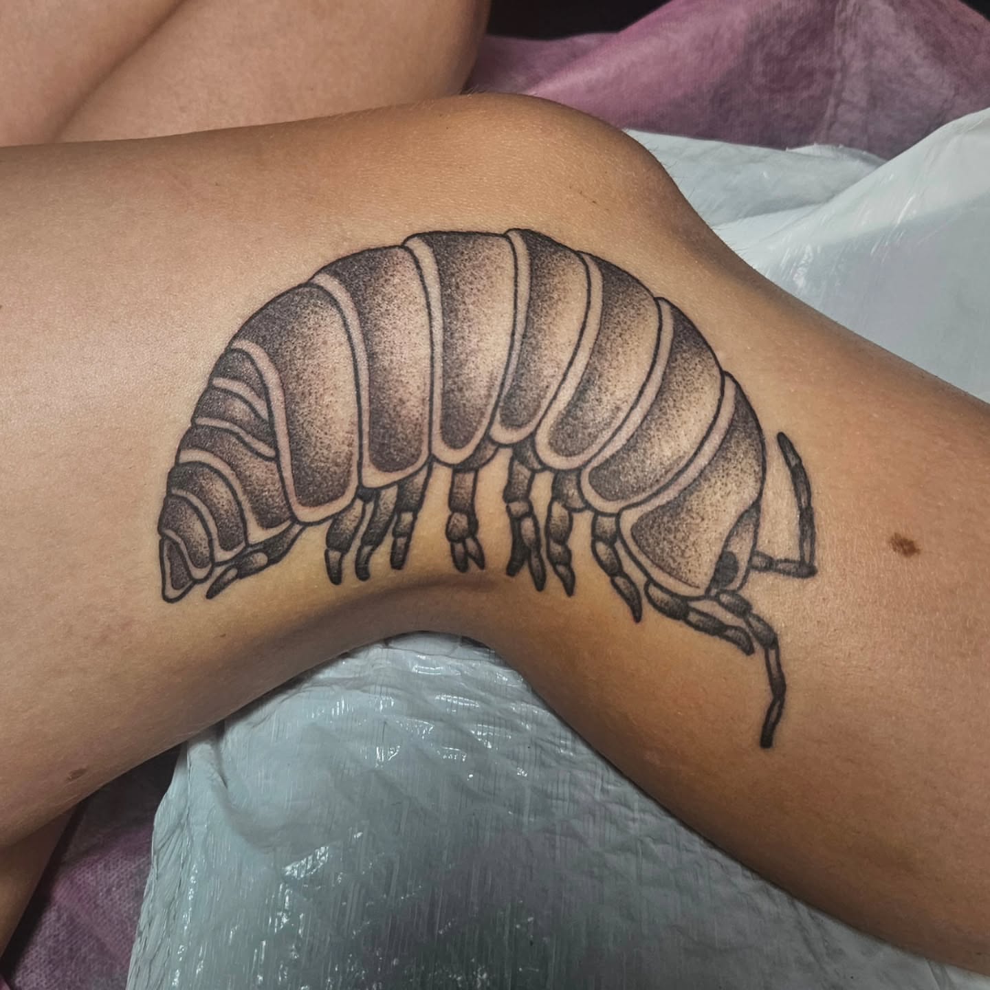 Woodlouse dotwork tattoo on the thigh by Ari🖤