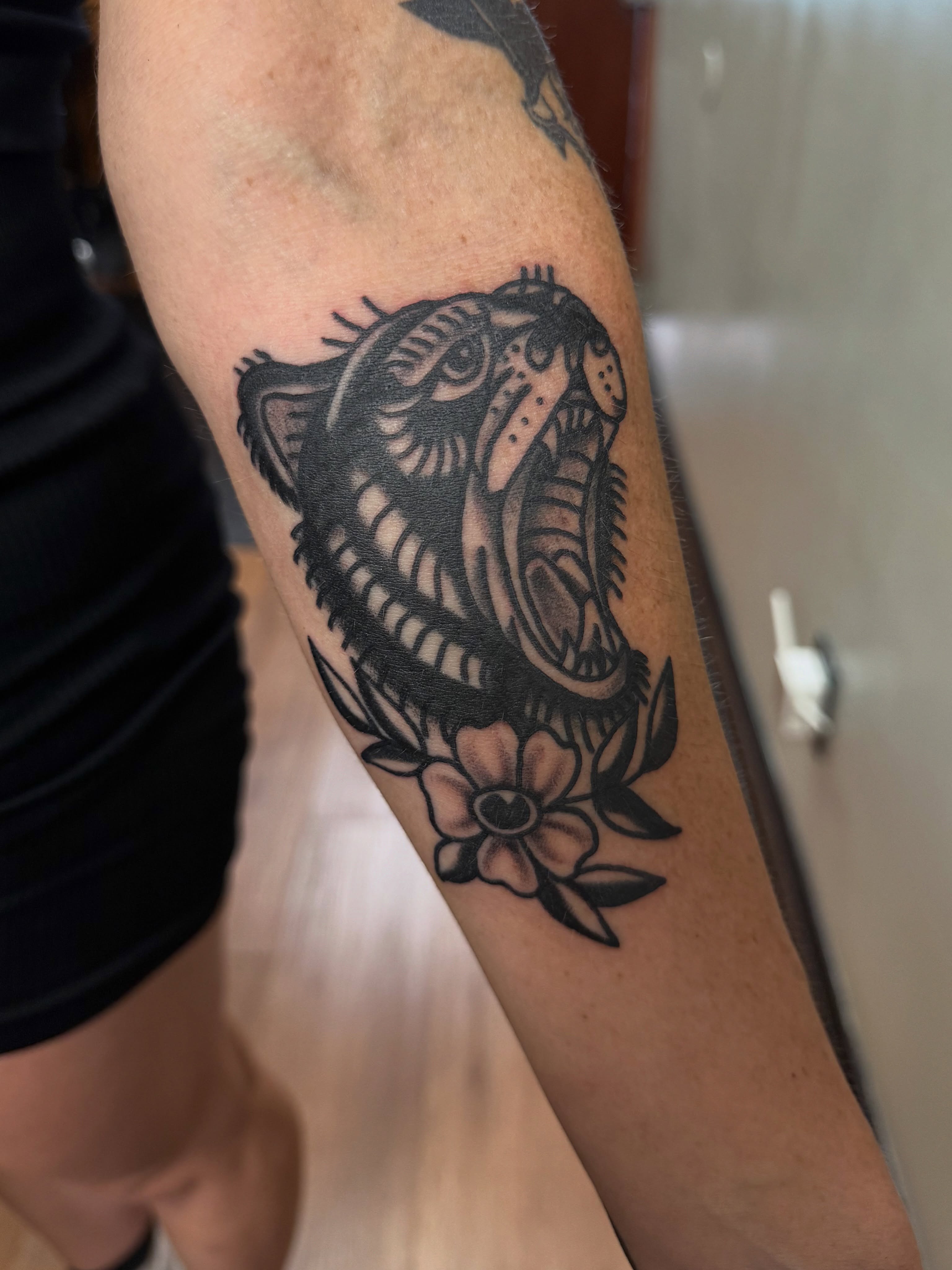 Roaring tiger American traditional tattoo on the forearm by @kevingaretz, Jersey City, New Jersey