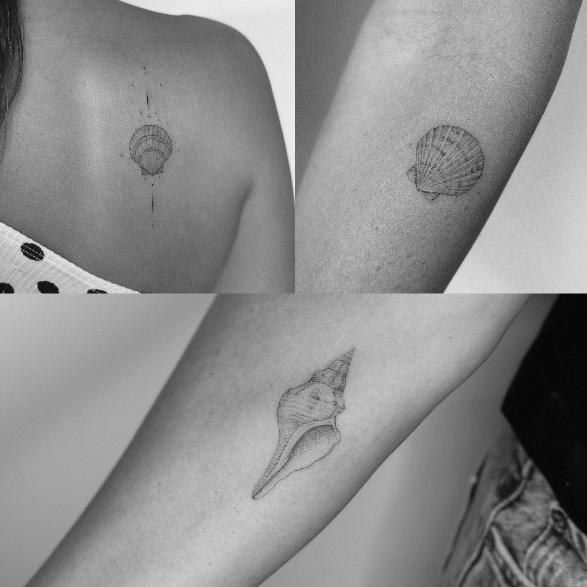 Shell black and grey tattoo on the upper arm by Marisa Martello, Nashville, Tennessee