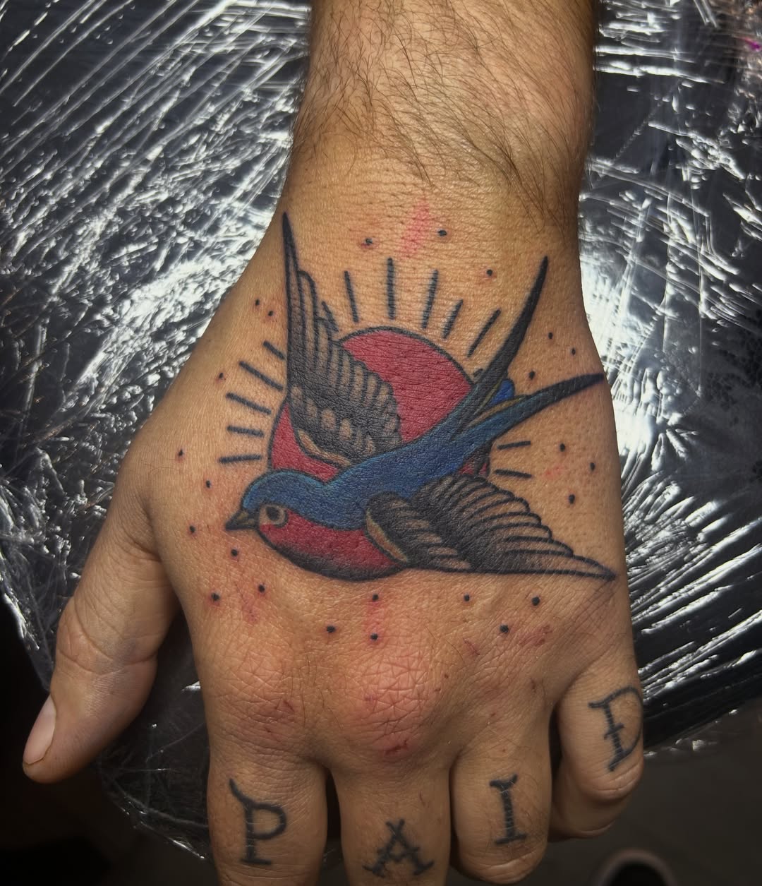 Swallow and sun American traditional tattoo on the hand by Zach Andrews