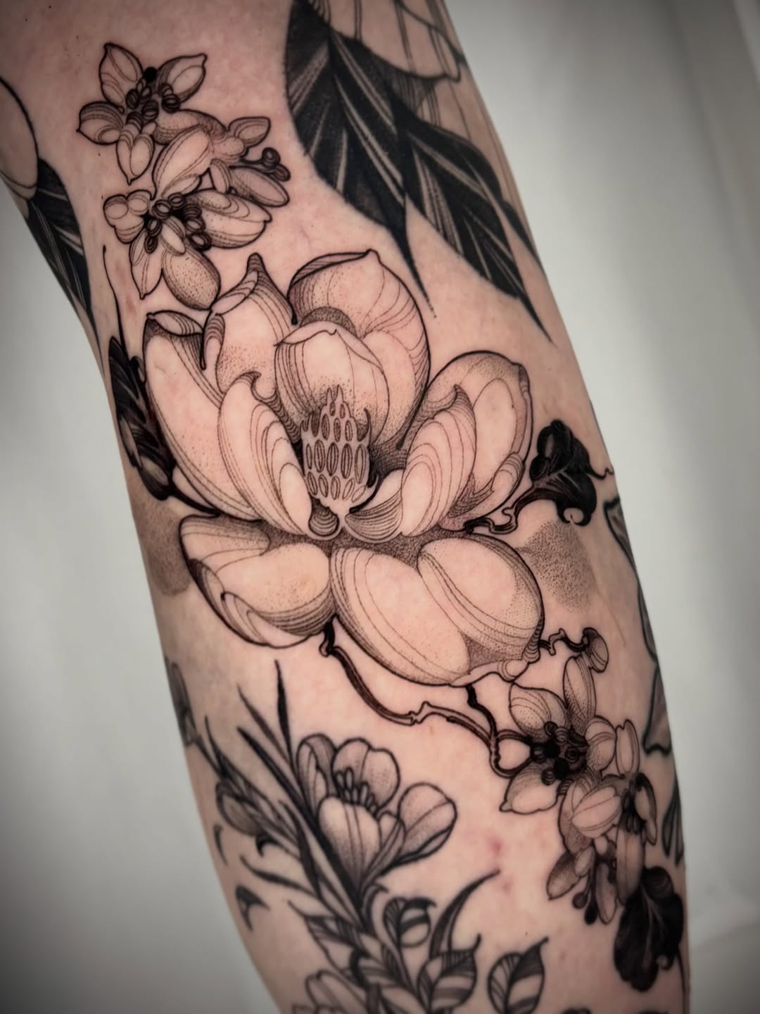 Tattoo by @reeslynn_tattoo — black_and_grey, dotwork