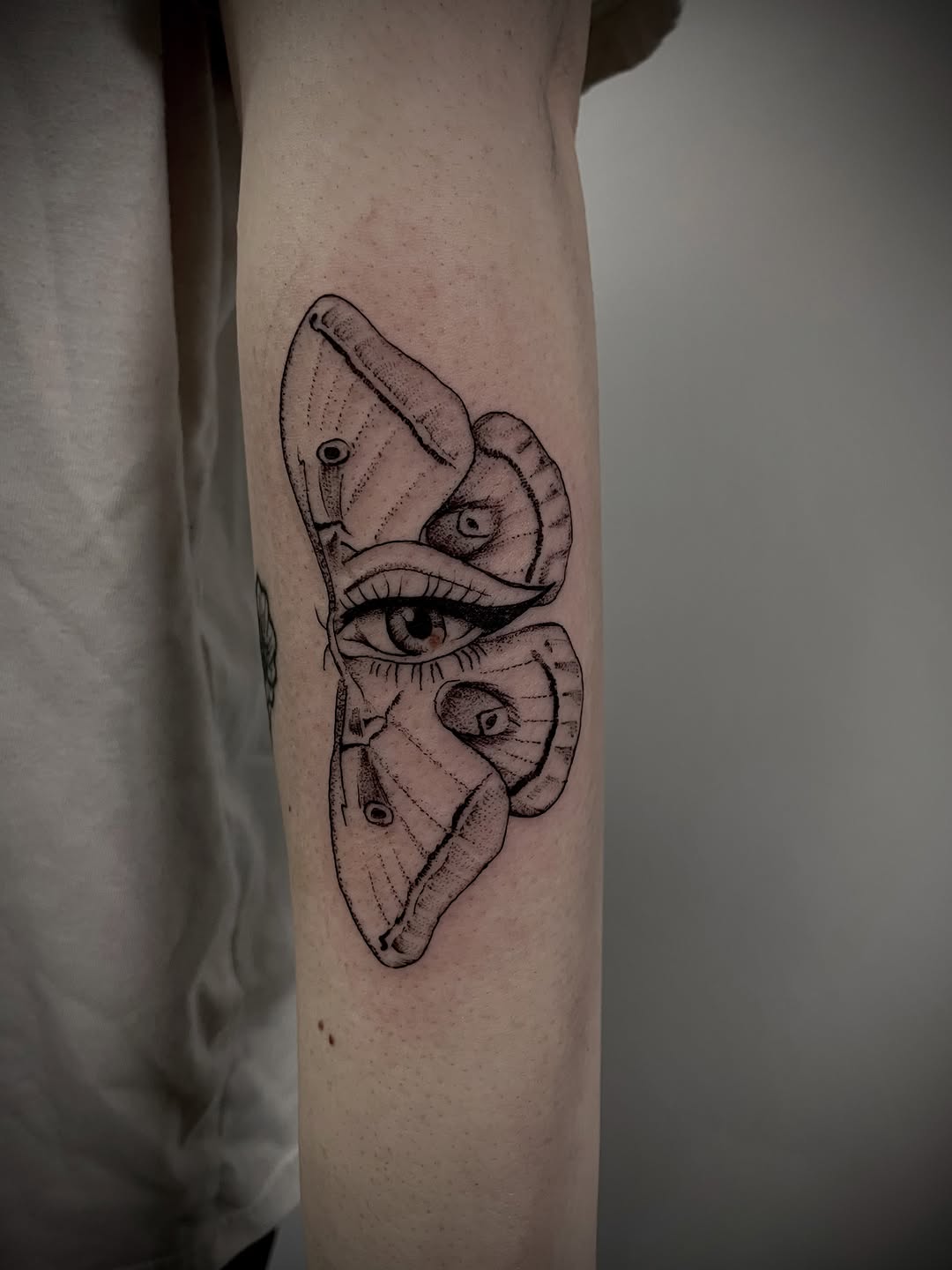 Tattoo by @christen_wolfe — dotwork, black_and_grey