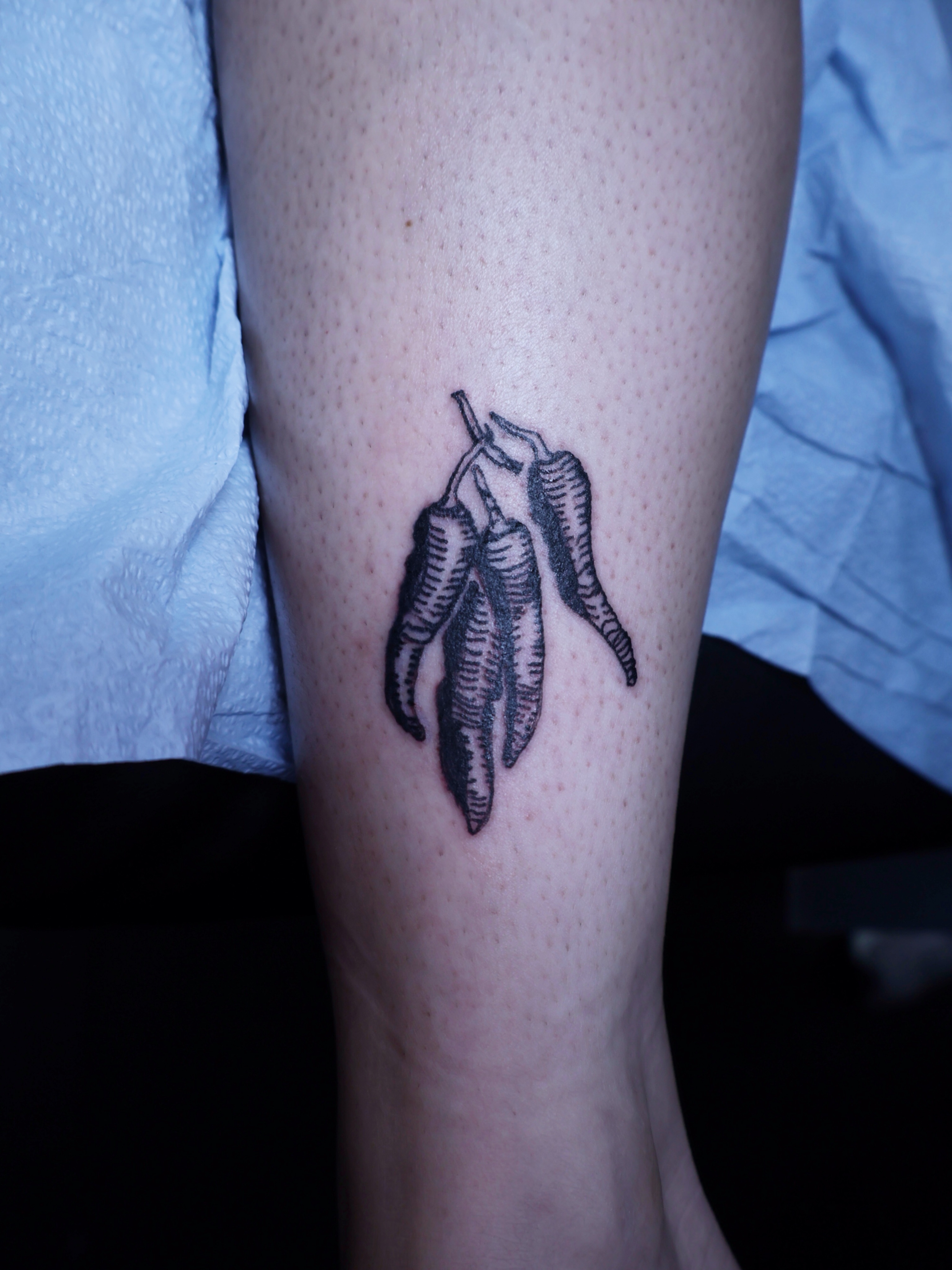 Chili peppers black and grey tattoo on the forearm by Denis Du Preez, East Williamsburg, Brooklyn