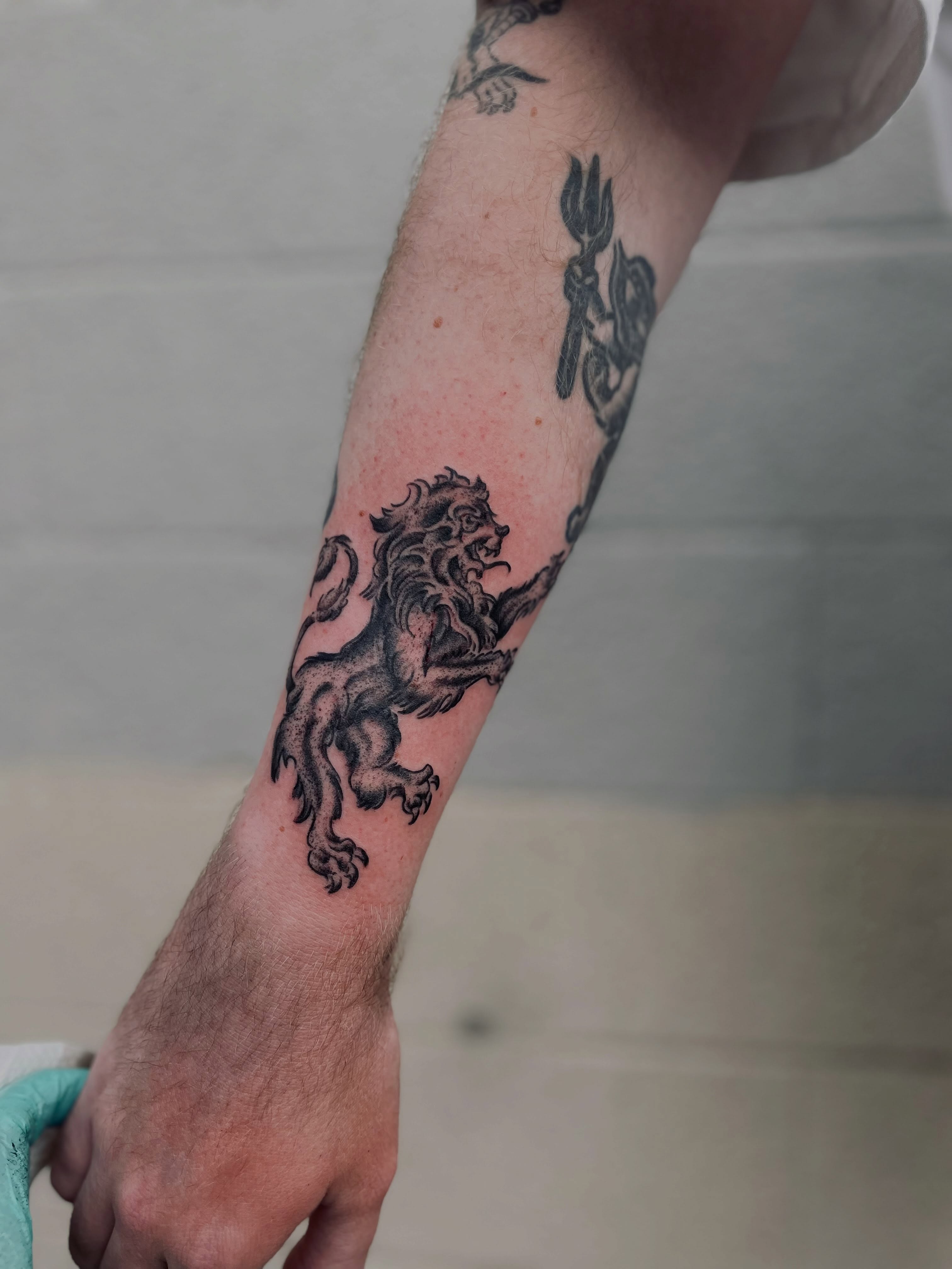 Lion black and grey tattoo on the forearm by Christien Xavier Alba, Salt Lake City, Utah