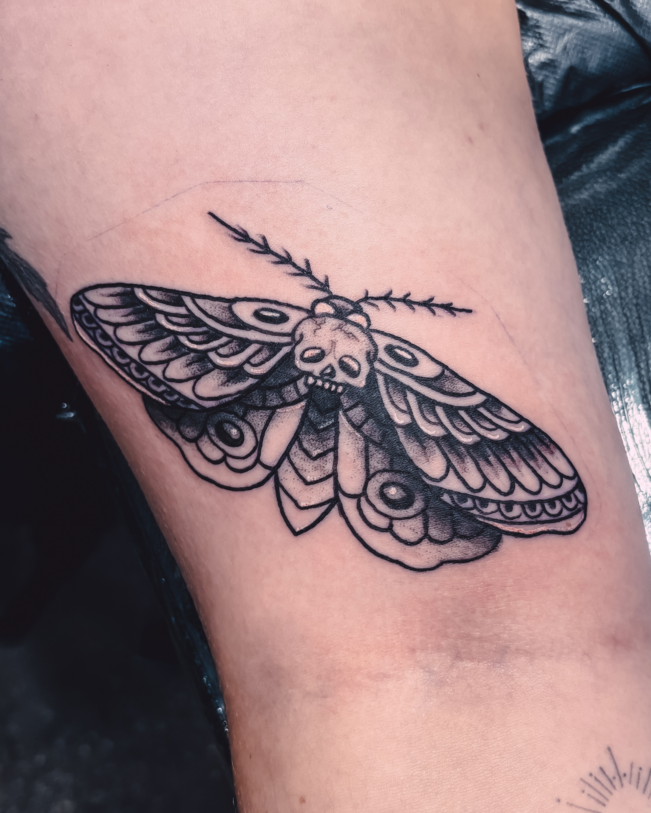 Moth dotwork tattoo on the thigh by Liz Cook