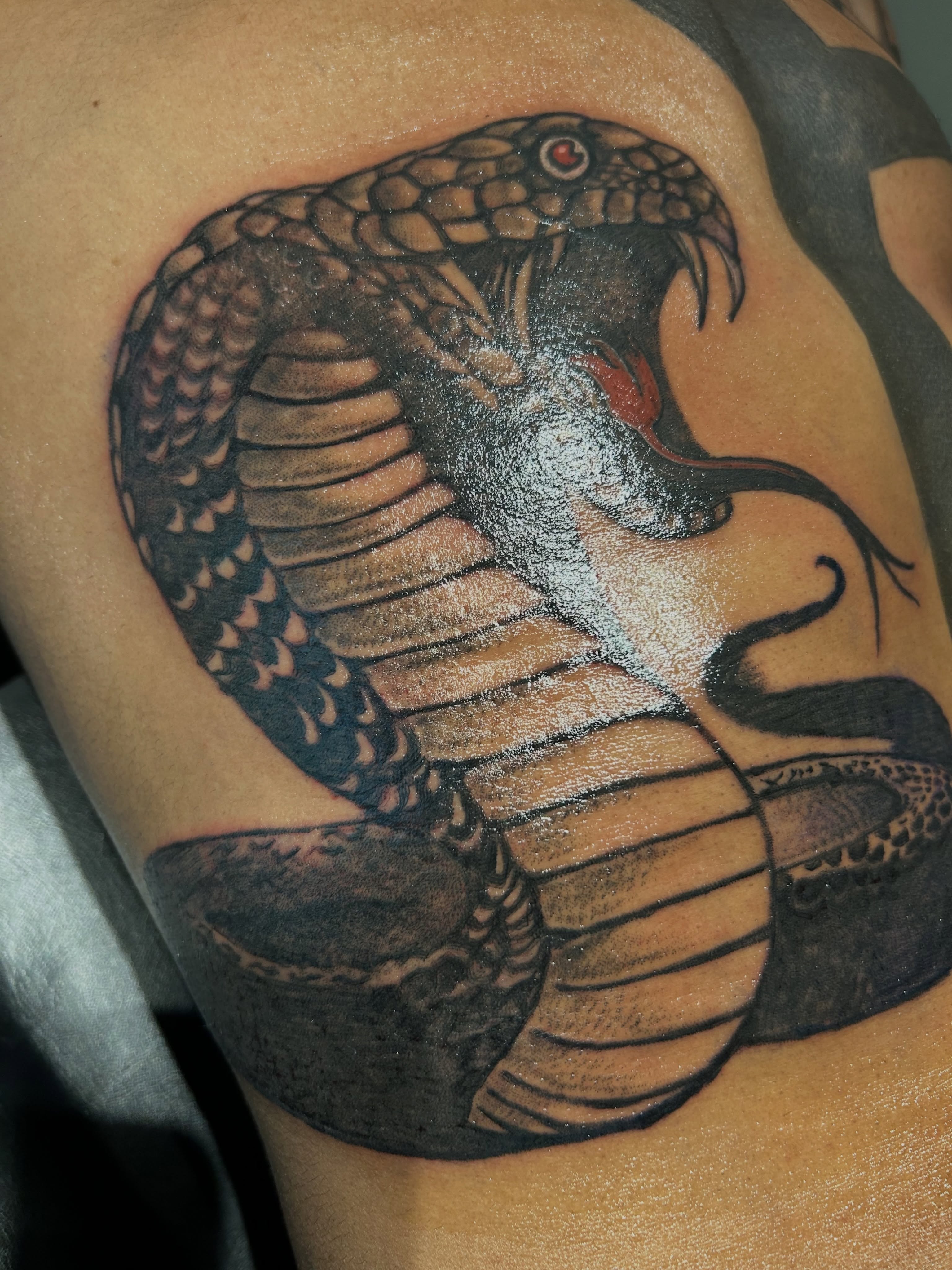 Cobra black and grey tattoo on the shoulder by @tatzbythadon