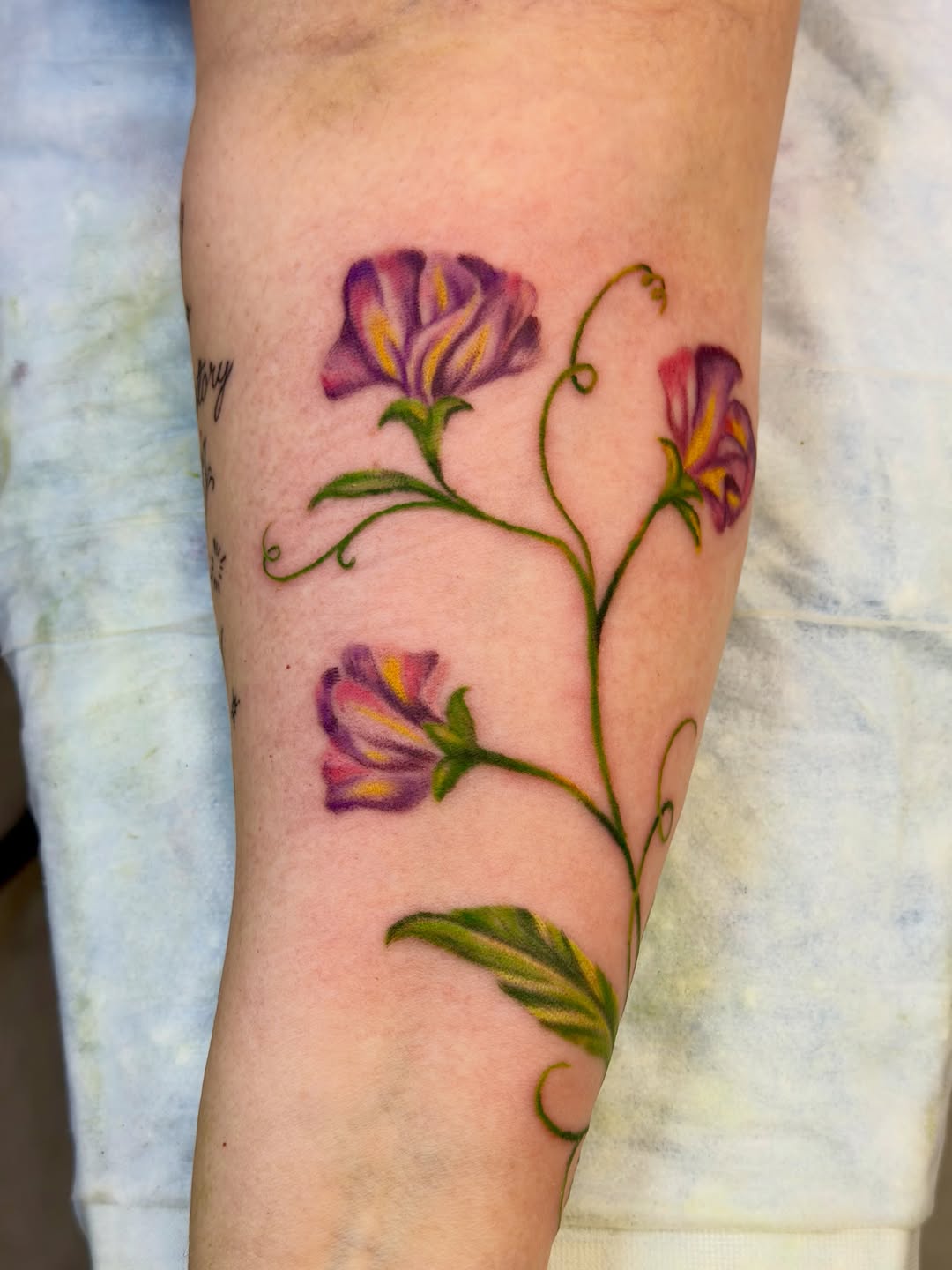 Tattoo by @caitlynntattoos — fine_line, realism