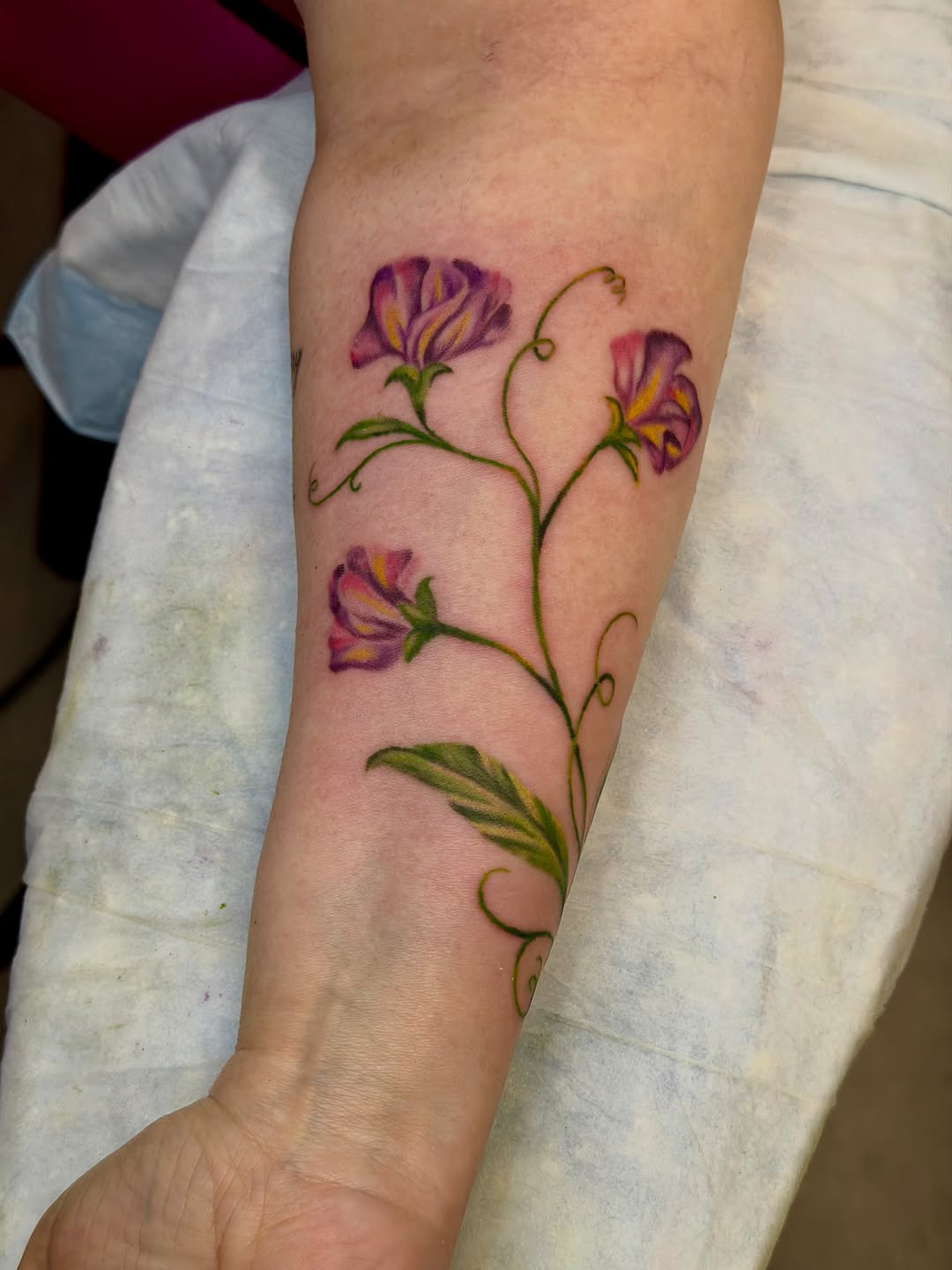 Tattoo by @caitlynntattoos — fine_line, realism