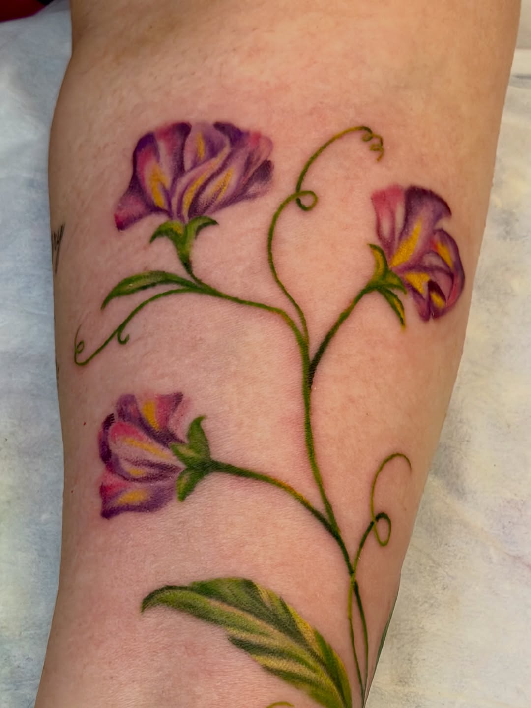 Tattoo by @caitlynntattoos — realism, fine_line