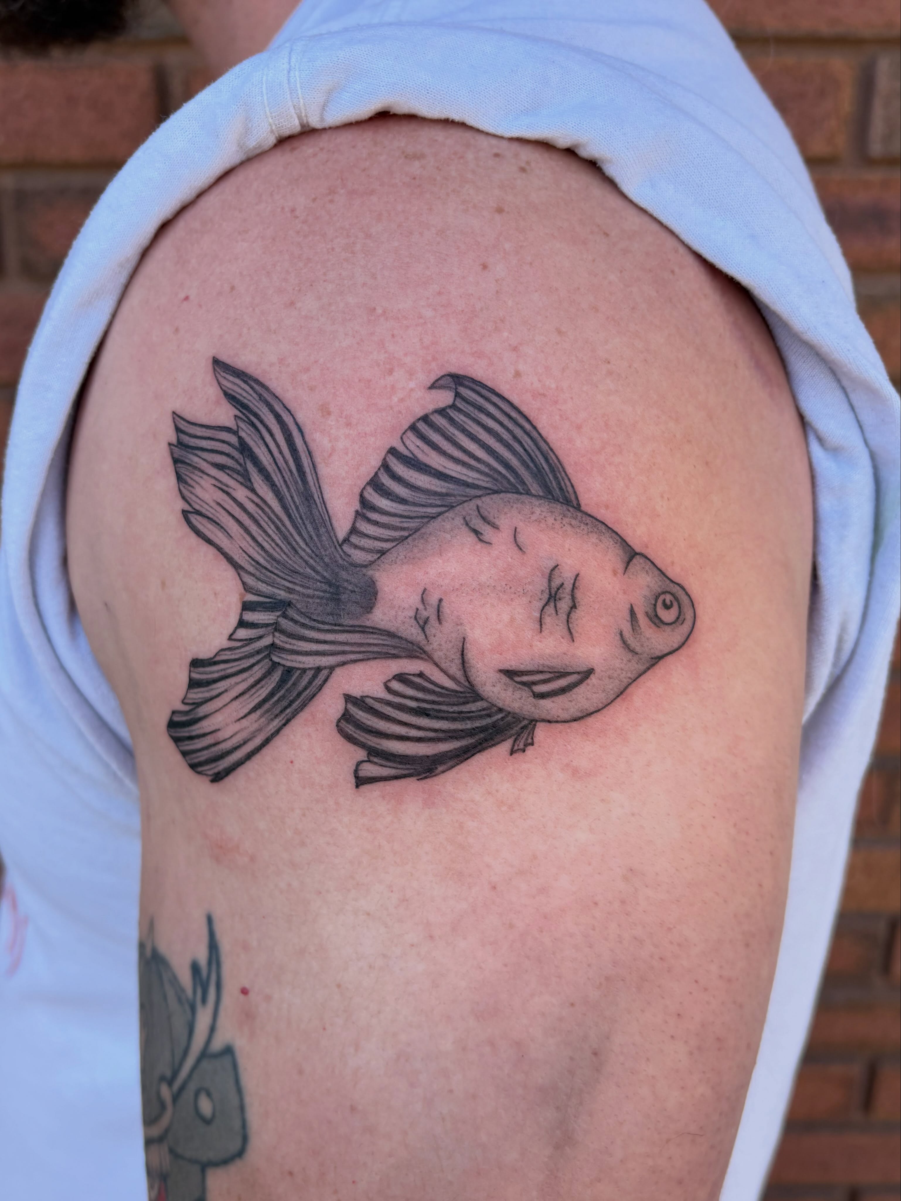 Goldfish black and grey tattoo on the shoulder by Sierra Maynard