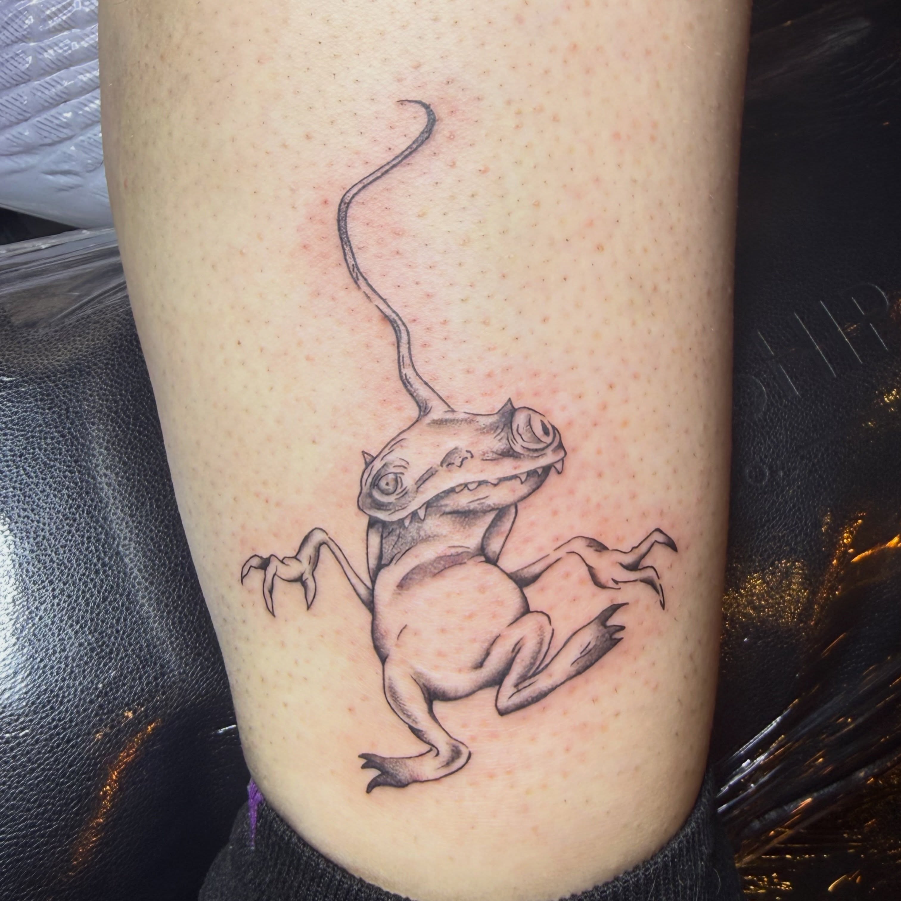 Tattoo by @divinearcaneart — illustrative, black_and_grey
