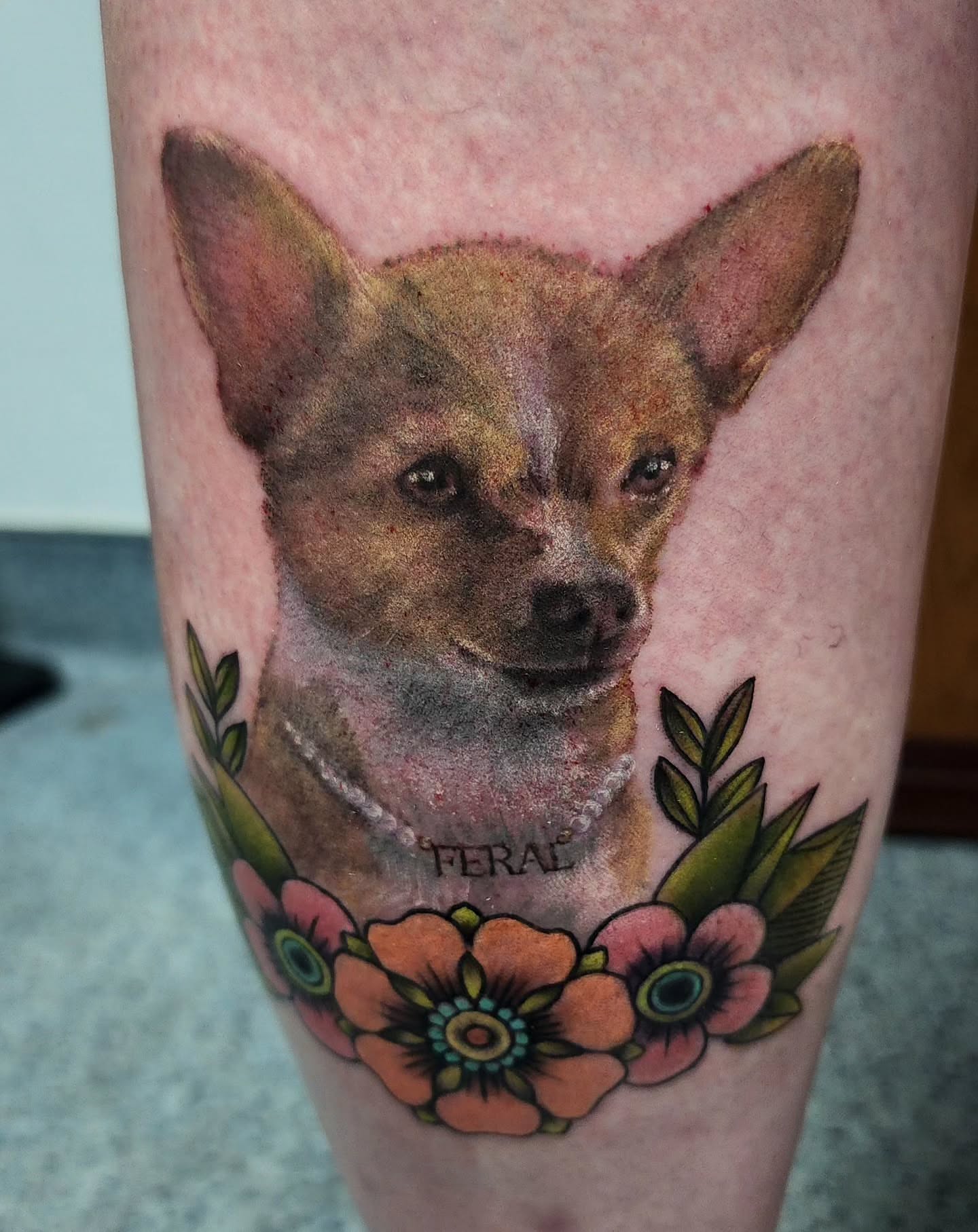 Dog portrait realism tattoo on the forearm by Katie Palmer