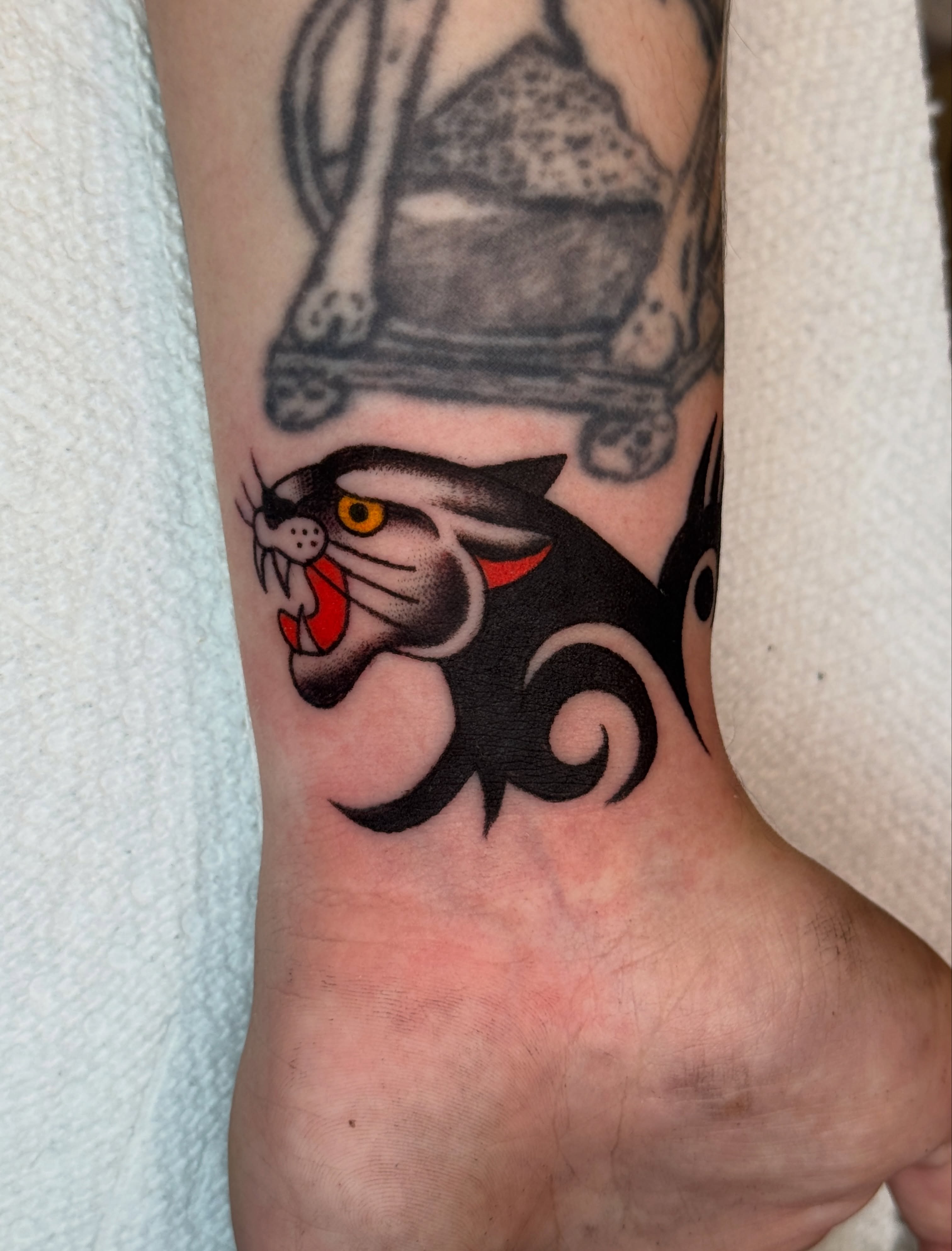 Cat American traditional tattoo on the forearm by Allie Barringer