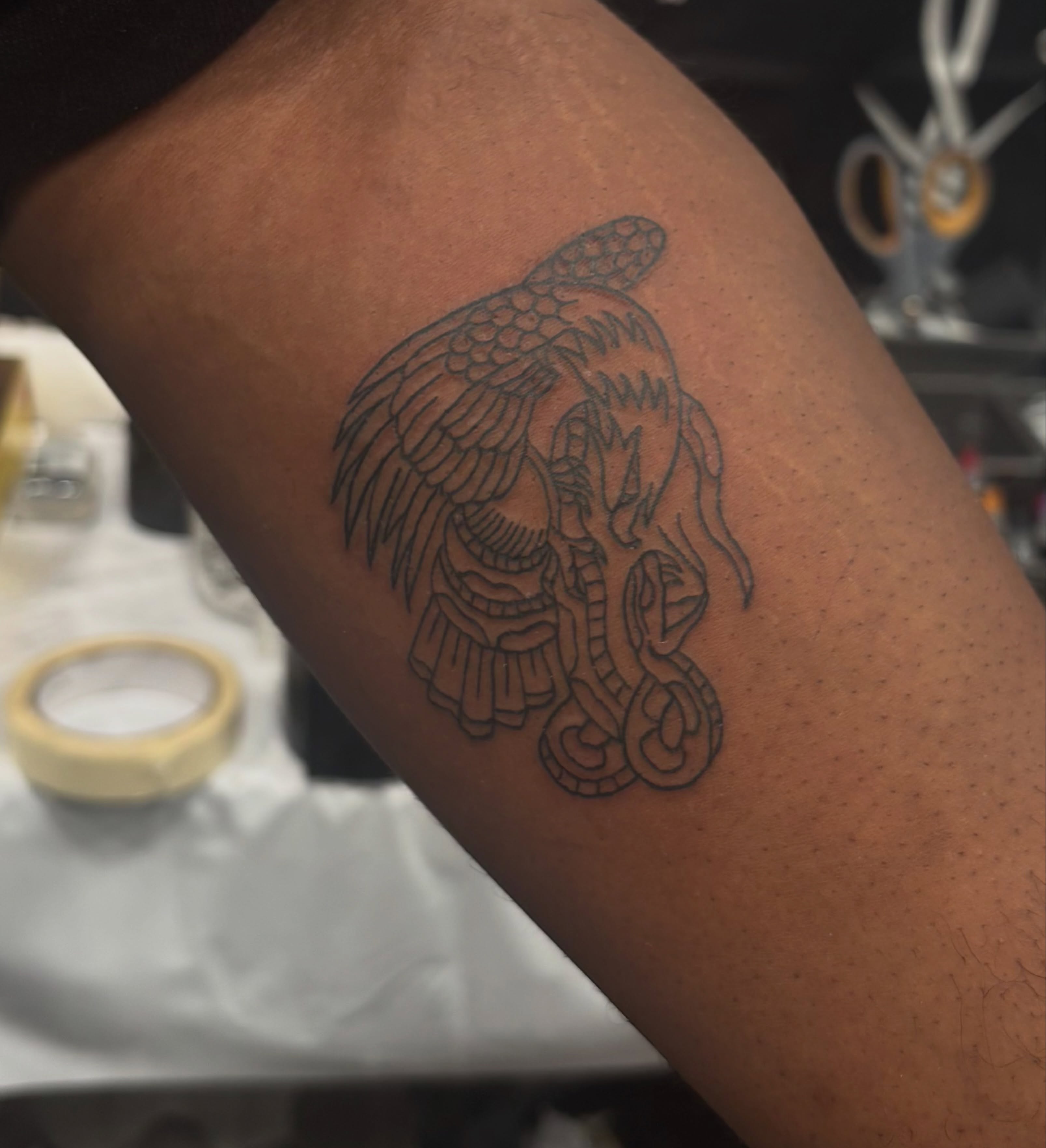 Bird black and grey tattoo on the forearm by Nyah Ramirez