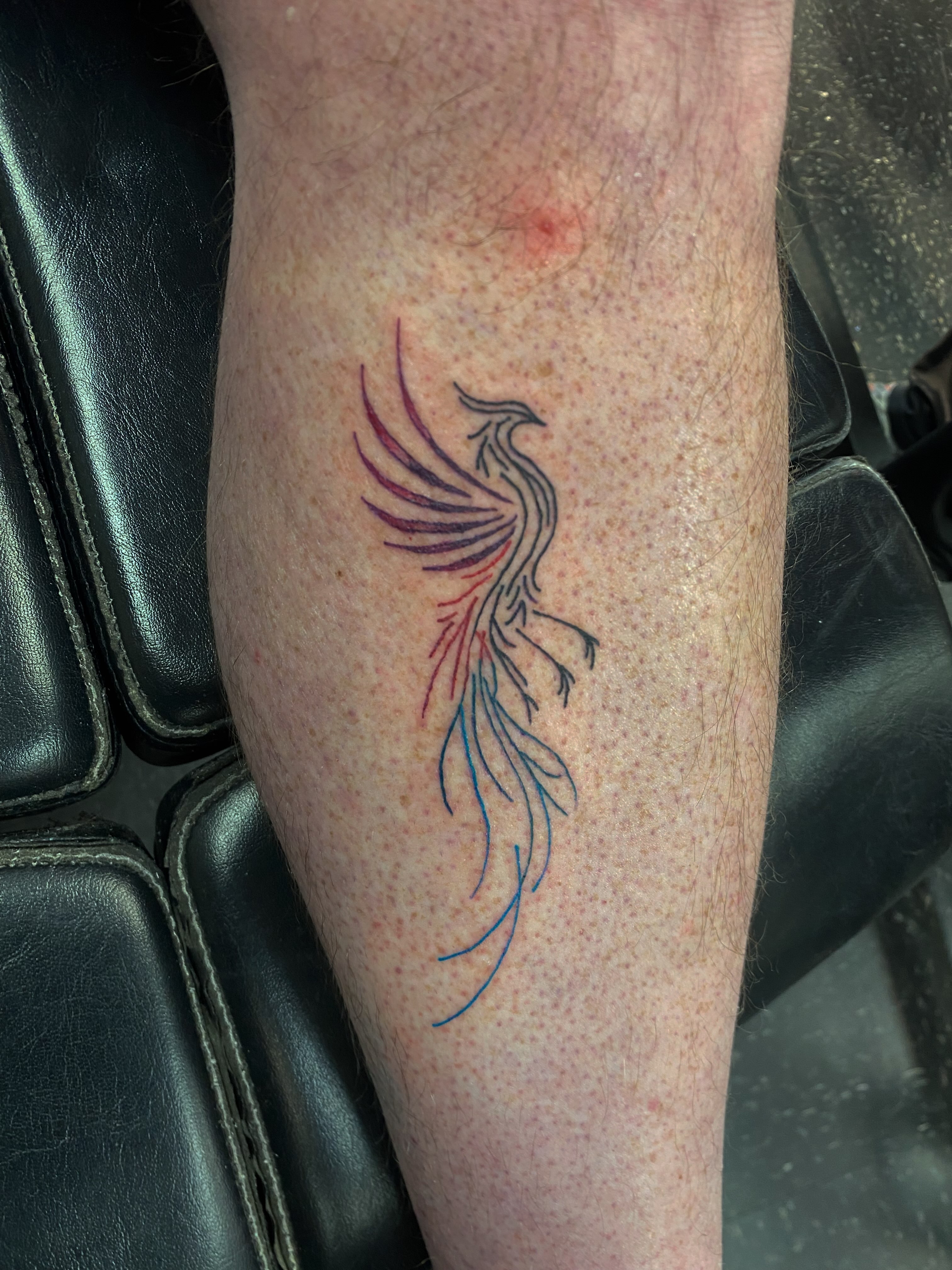 Phoenix fine line tattoo on the forearm by Rylan Thorndyke - Tattoo Artist, Las Vegas, Nevada