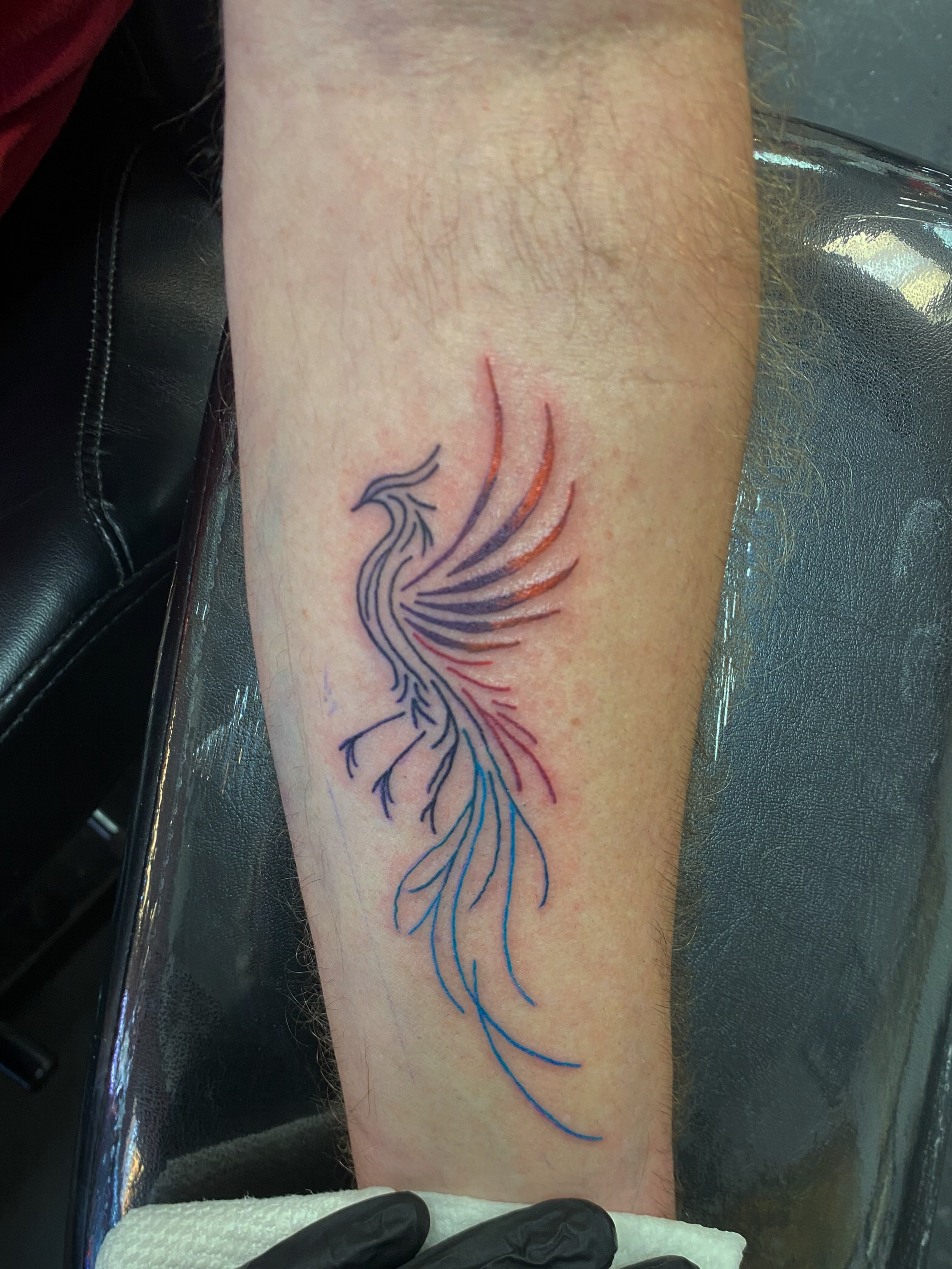 Phoenix fine line tattoo on the forearm by Rylan Thorndyke - Tattoo Artist, Las Vegas, Nevada