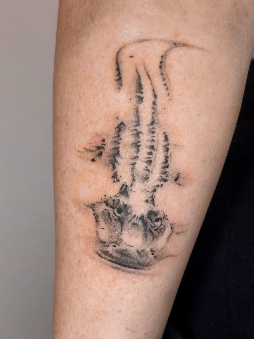 Tattoo by @ryleecooktattoo — black_and_grey, realism