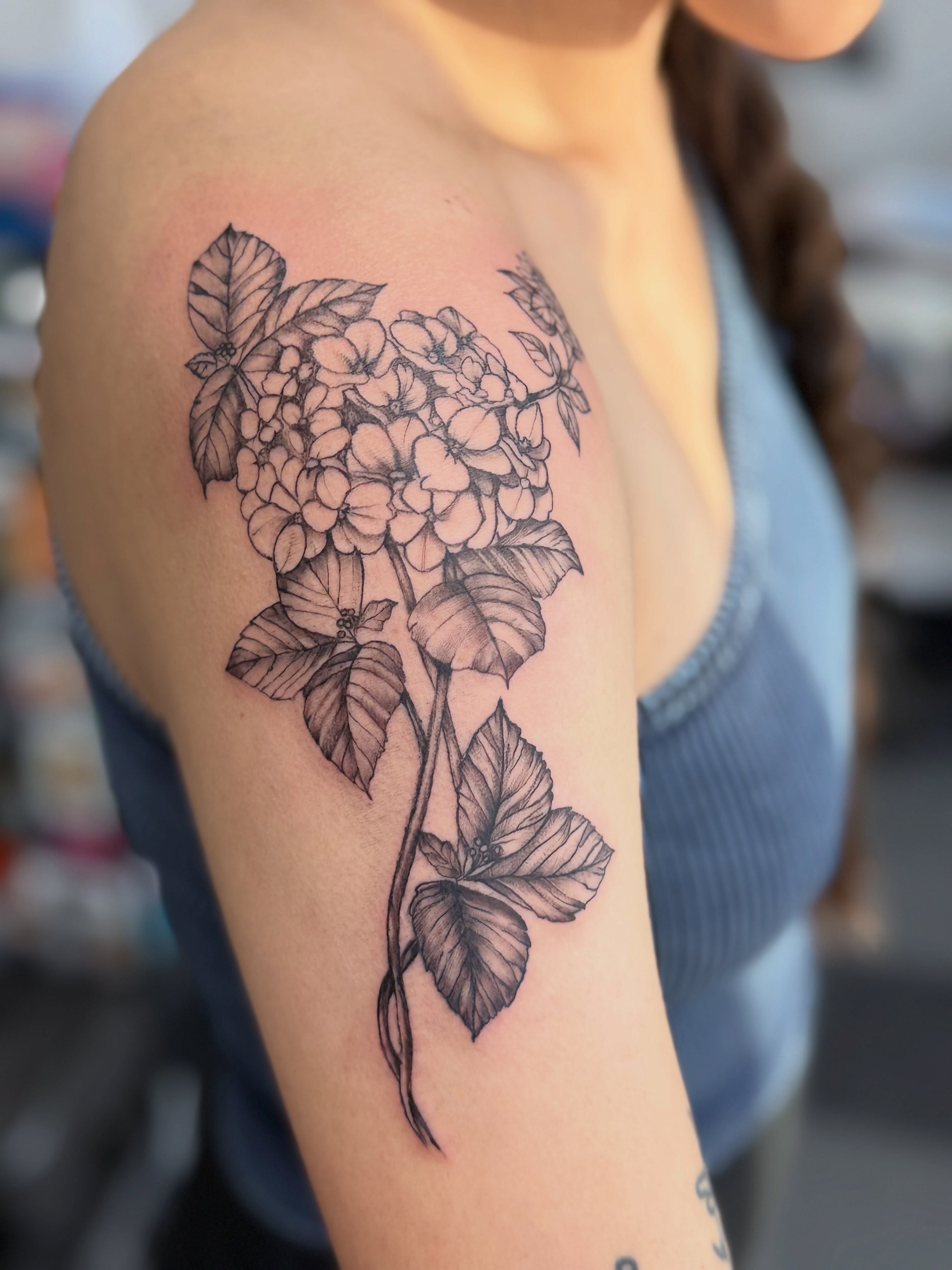 Hydrangea black and grey tattoo on the shoulder by Tetiana