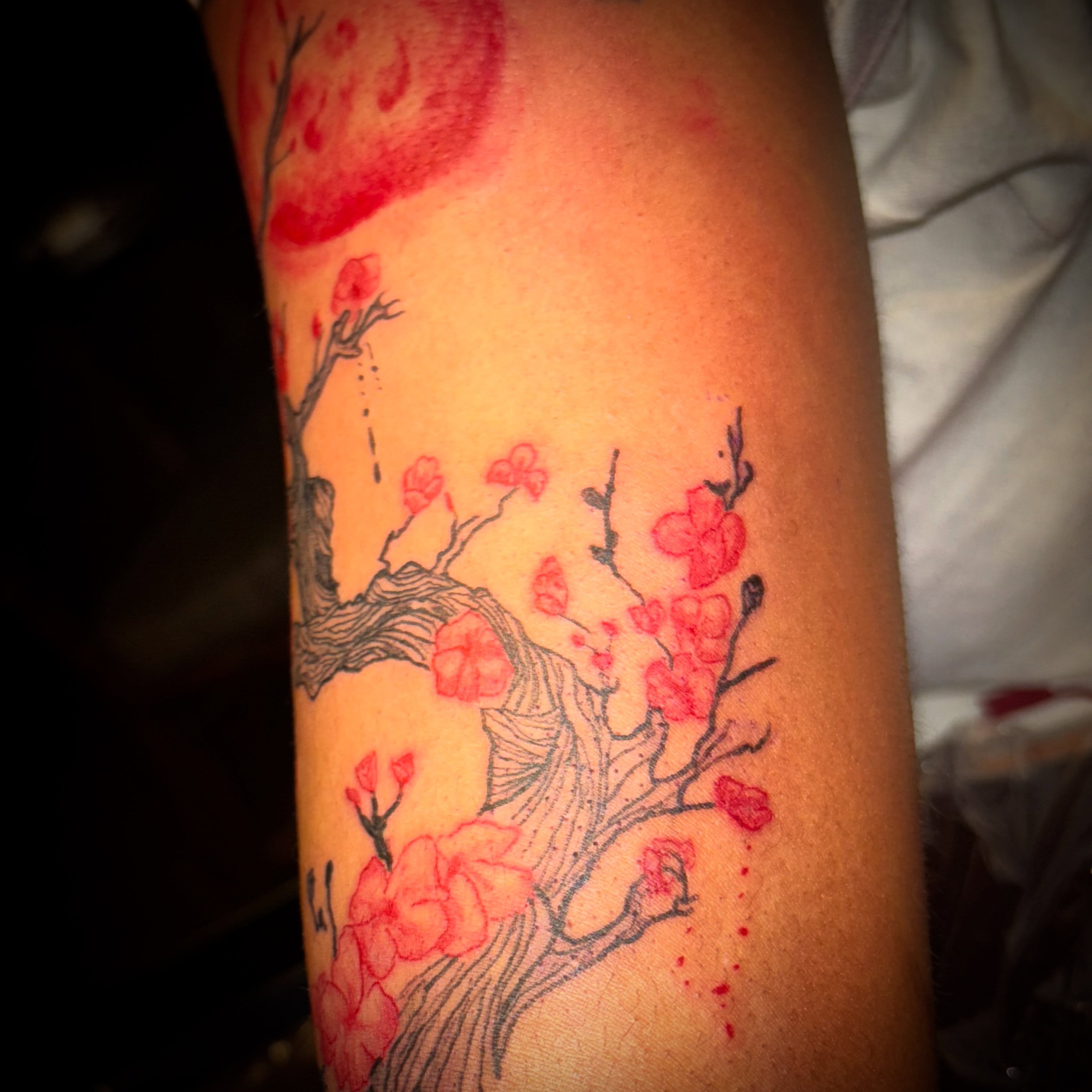 Cherry blossom tree watercolor tattoo on the forearm by Tessahwessah 🧞‍♀️
