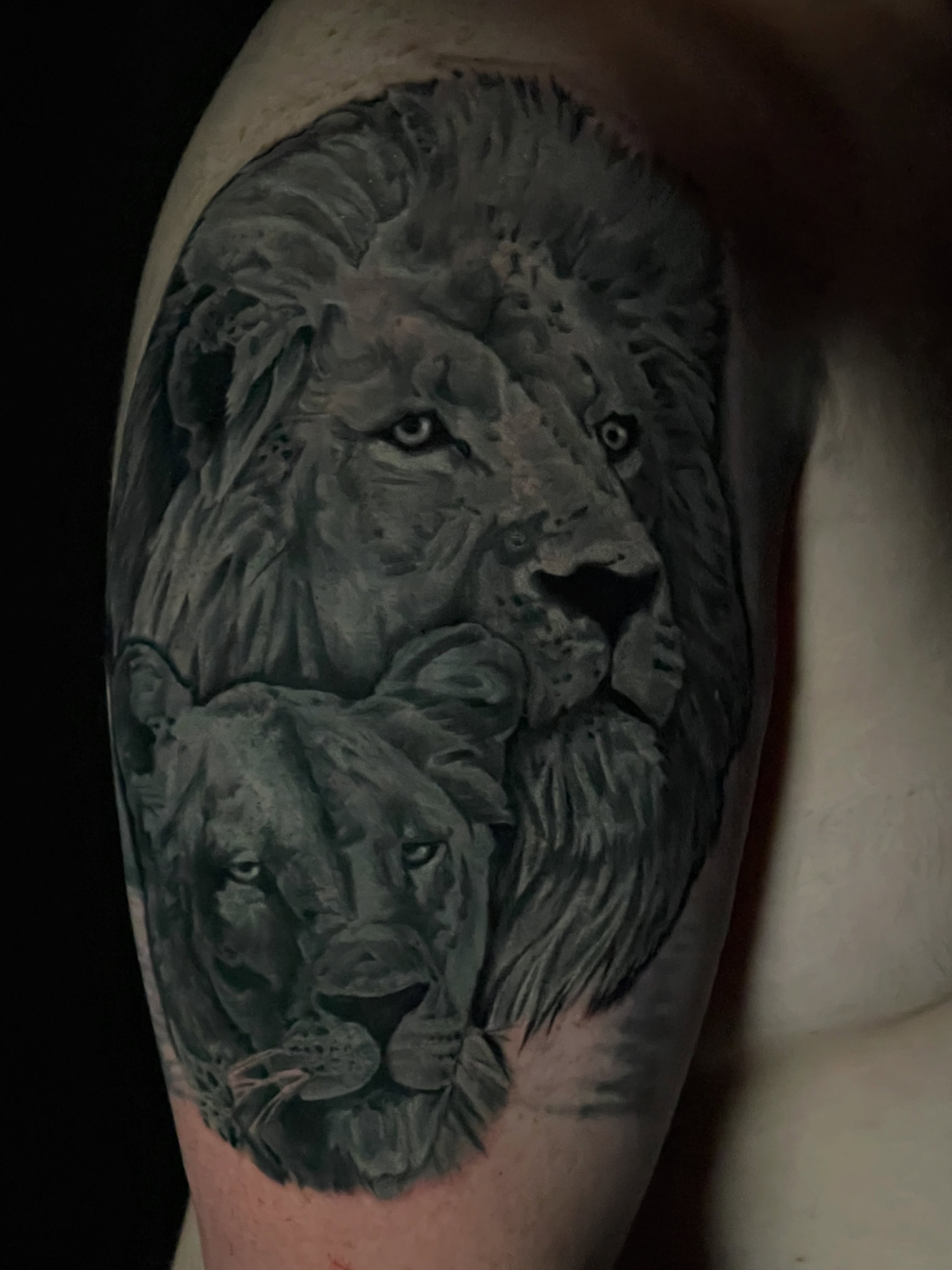 Tattoo by @spidermonkeysauce — realism, black_and_grey