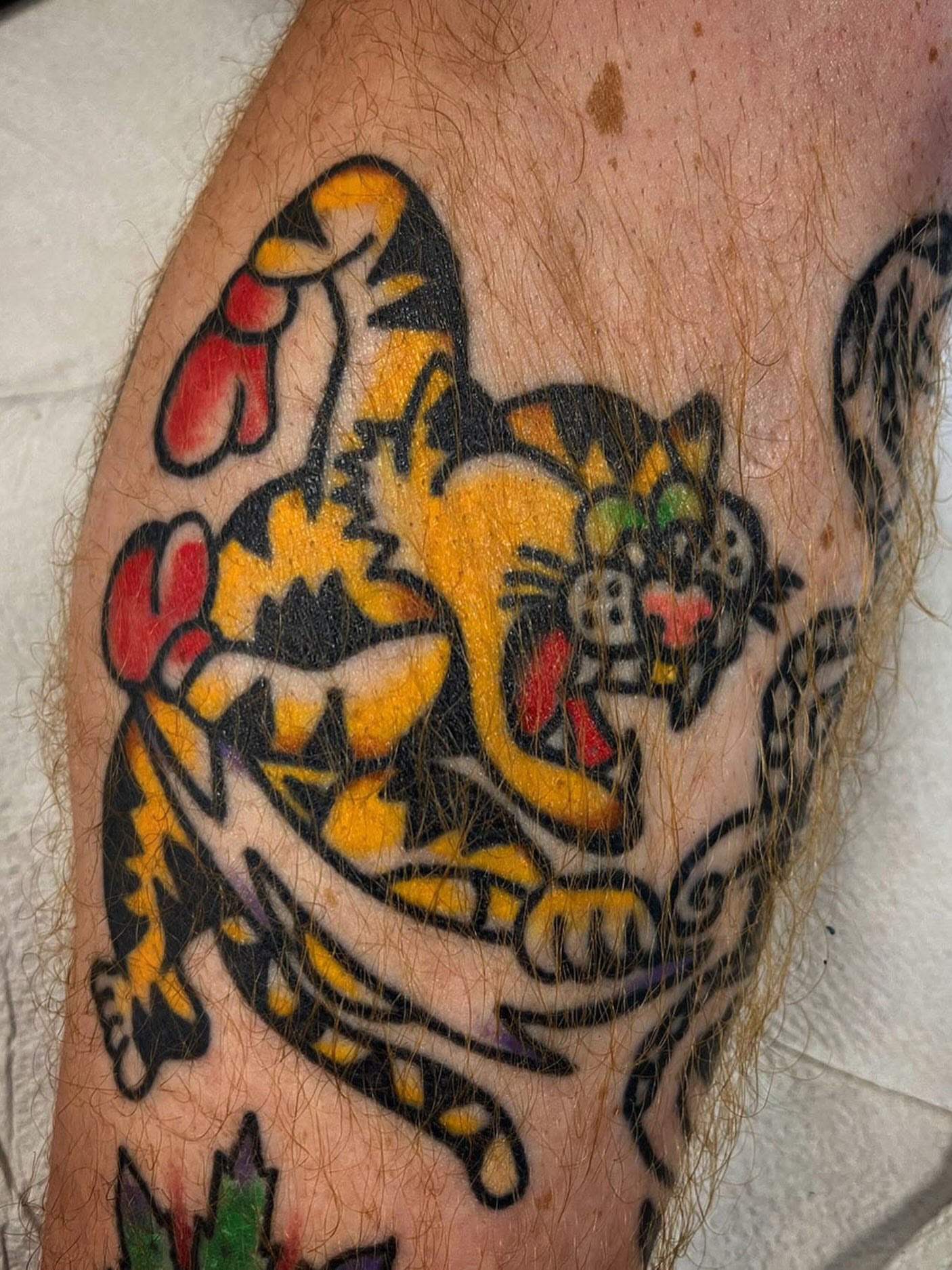 Cat American traditional tattoo on the forearm by Arron Albaugh