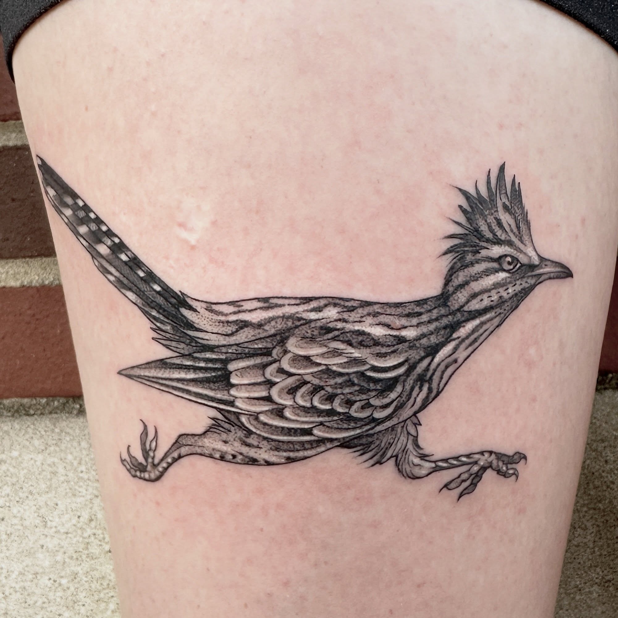 Roadrunner black and grey tattoo on the thigh by Robert McCollum