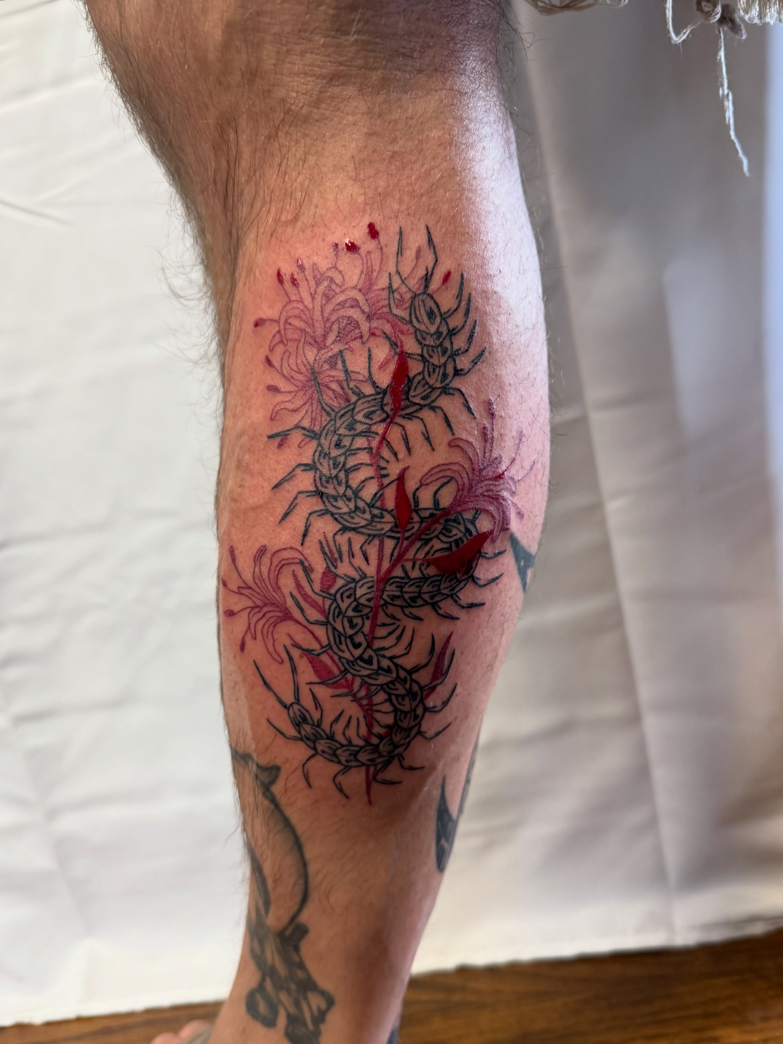 Centipedes and flowers neo-traditional tattoo on the calf by ⁘ heléna tupou-lisle ⁘