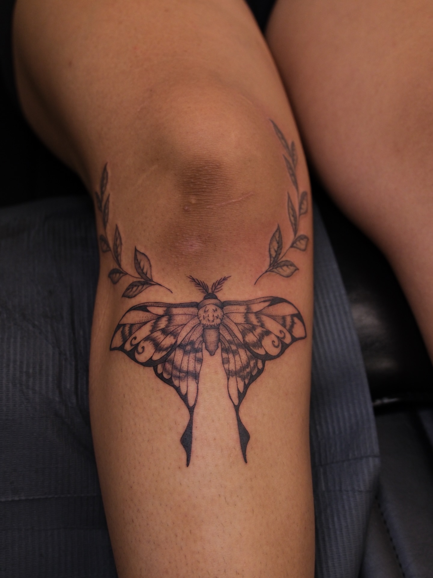 Moth black and grey tattoo on the forearm by Kiana Hope