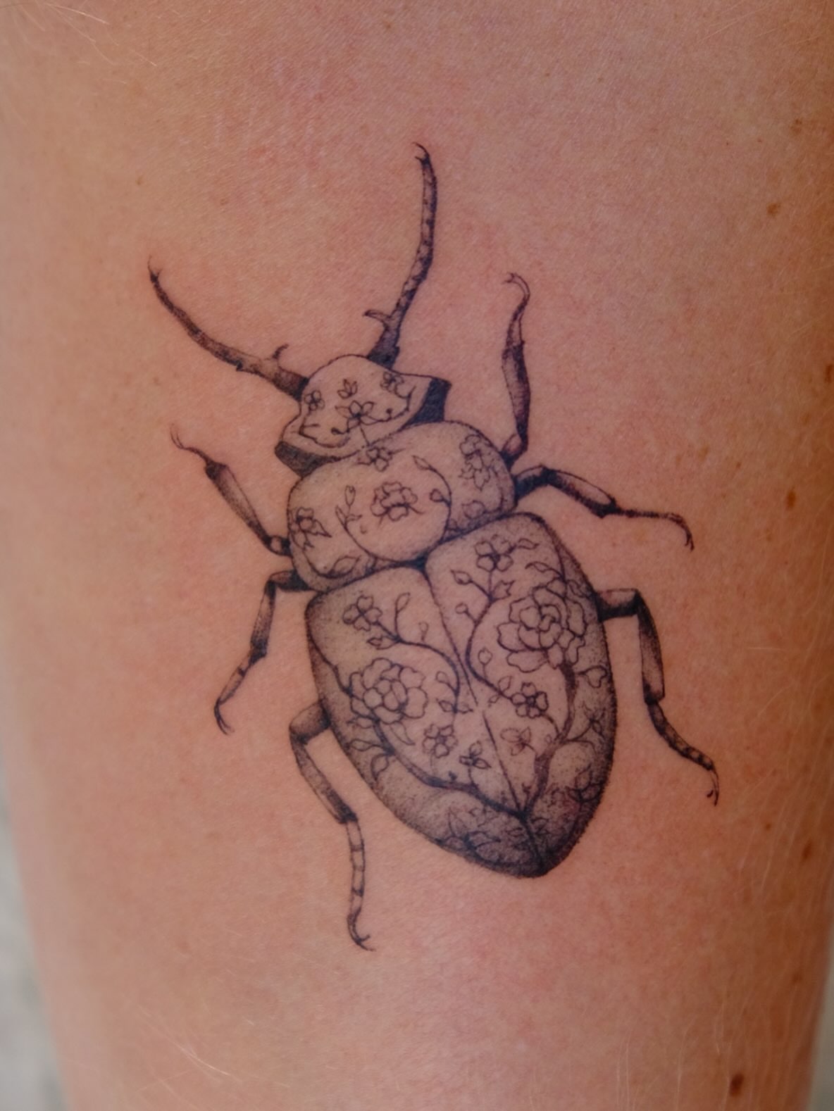 Beetle black and grey tattoo on the forearm by macie ❥ austin tattoo artist, Austin, Texas