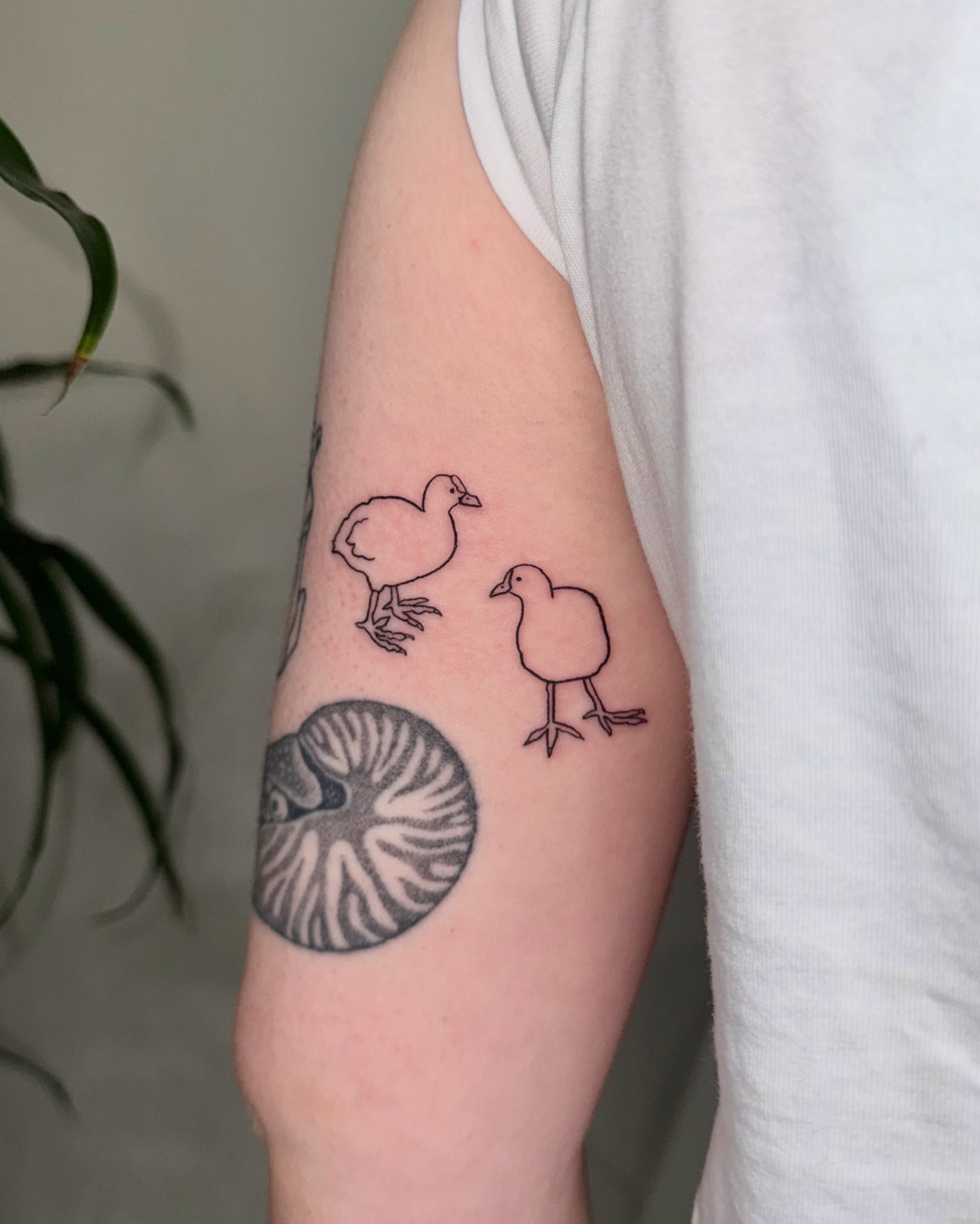 Chickens minimalist tattoo on the forearm by 림구타투