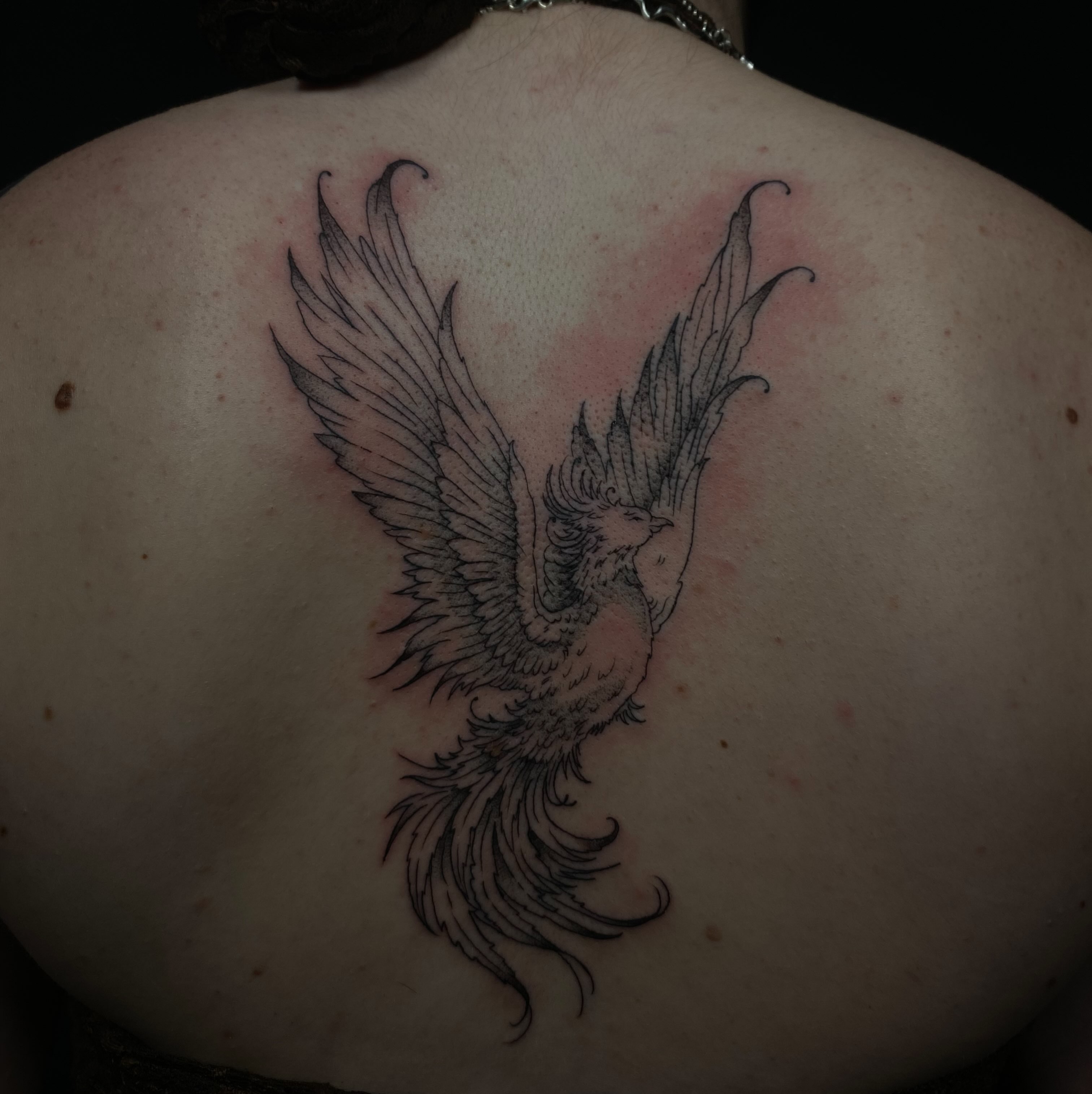 Phoenix black and grey tattoo on the back by 𝕶𝖆𝖒 ~ 𝕿𝖆𝖙𝖙𝖔𝖔 𝕬𝖗𝖙𝖎𝖘𝖙