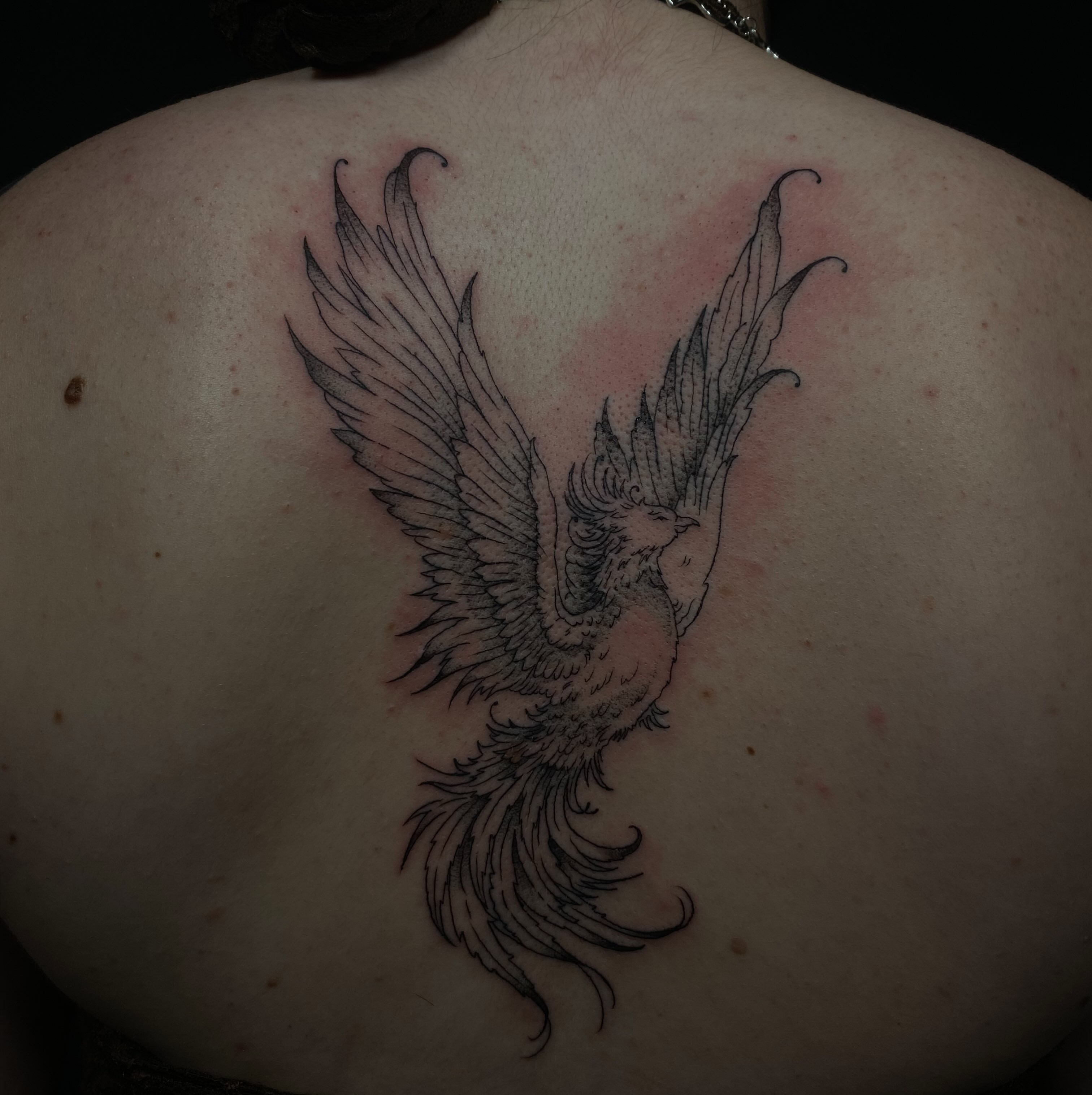 Phoenix black and grey tattoo on the back by 𝕶𝖆𝖒 ~ 𝕿𝖆𝖙𝖙𝖔𝖔 𝕬𝖗𝖙𝖎𝖘𝖙